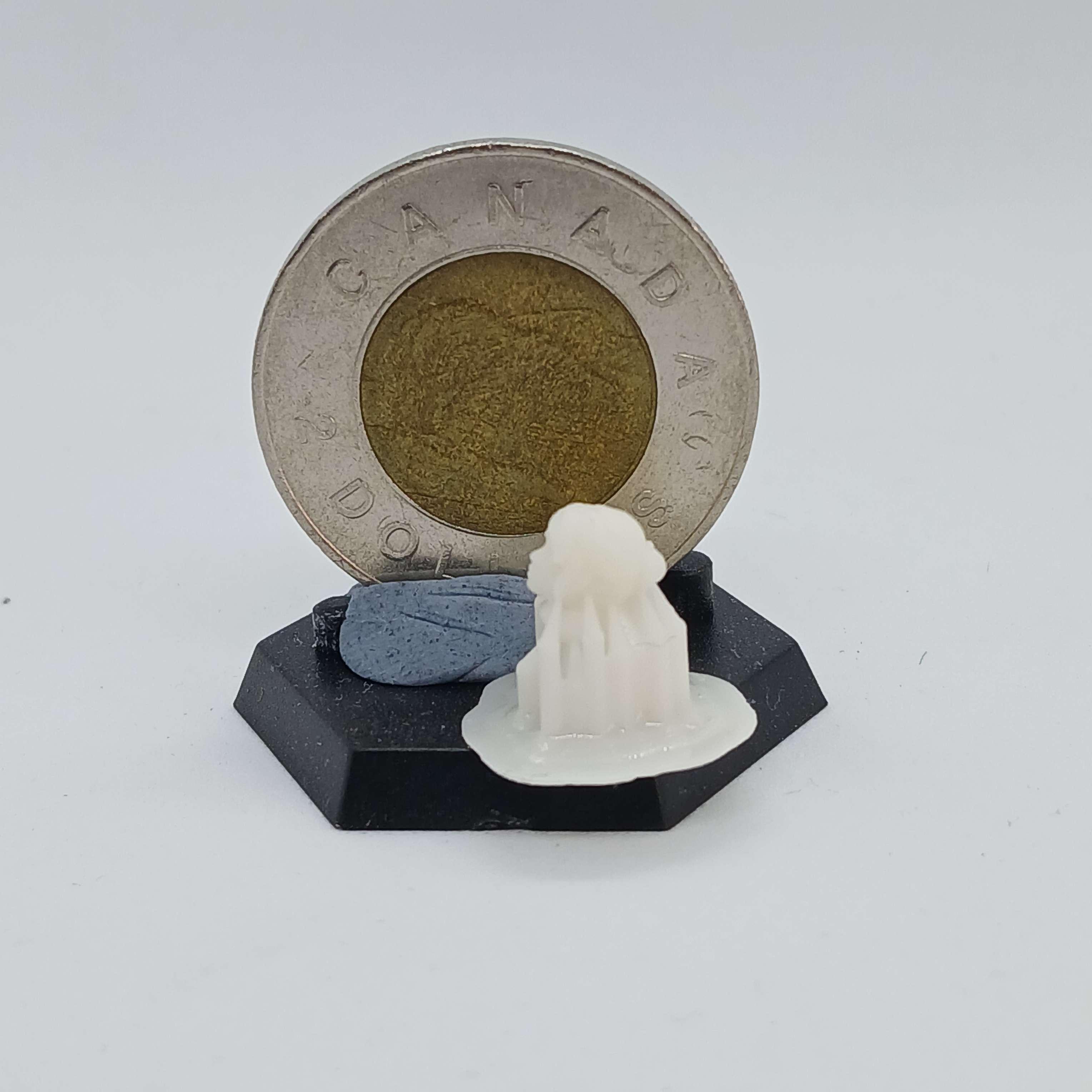 First print