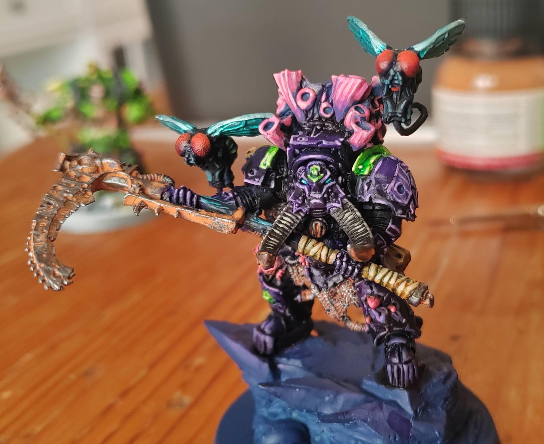 Typhus finished