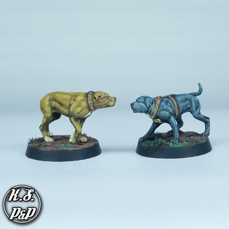 War Dogs