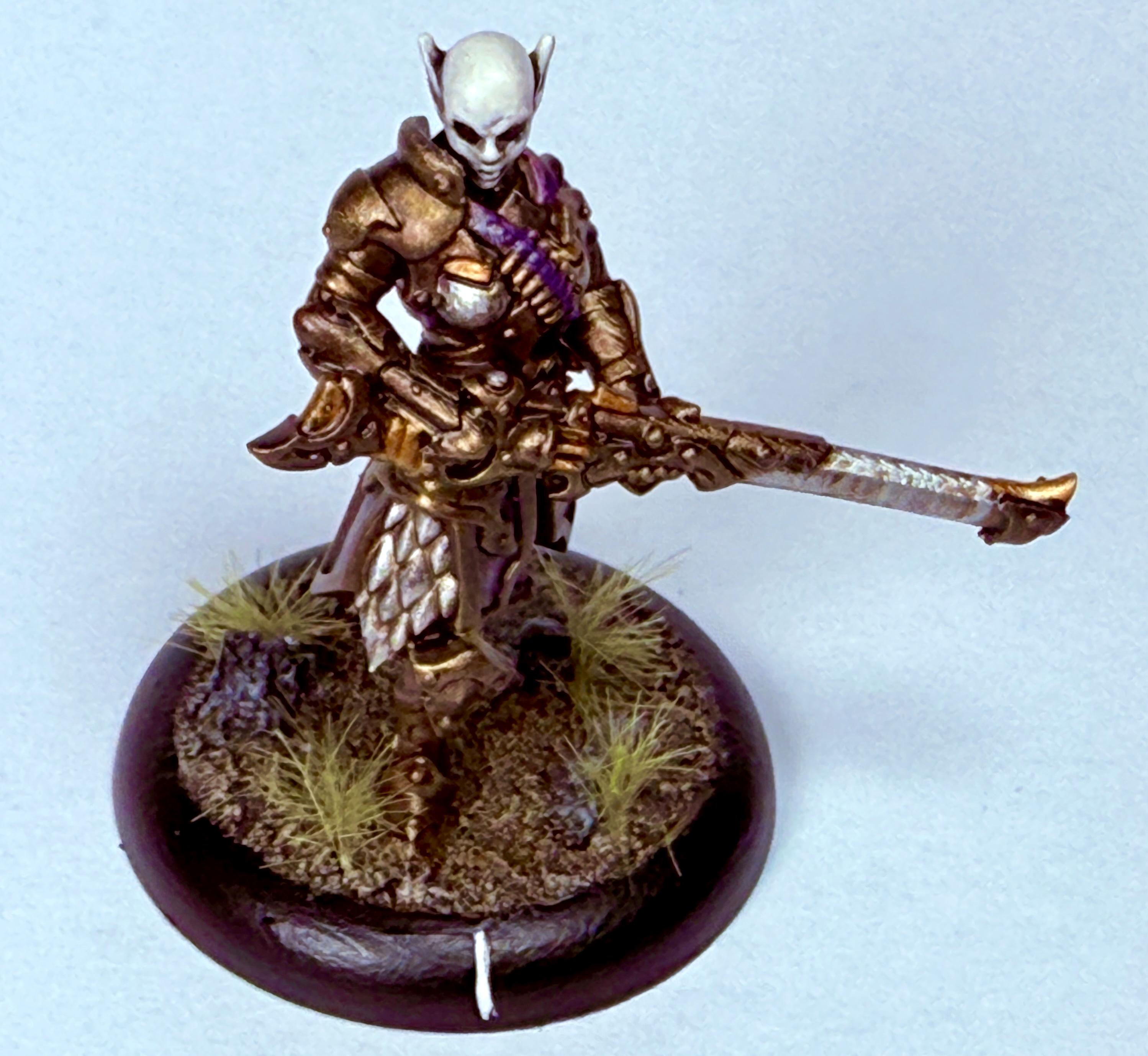 Dusk, Elves, House Kallyss, Privateer Press, Soulless, Steamforged Games, Unit, Warmachine