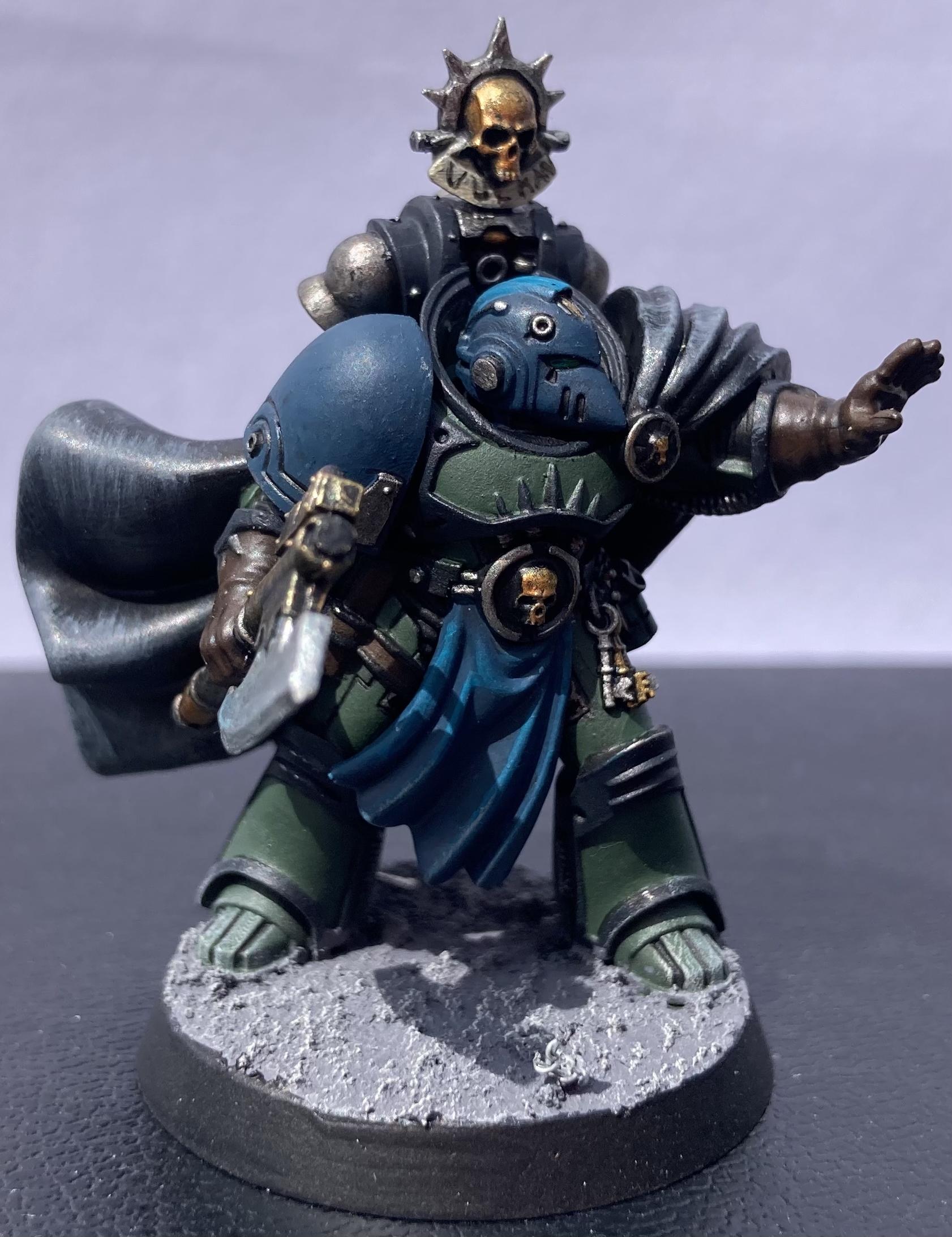 Consul, Salamanders