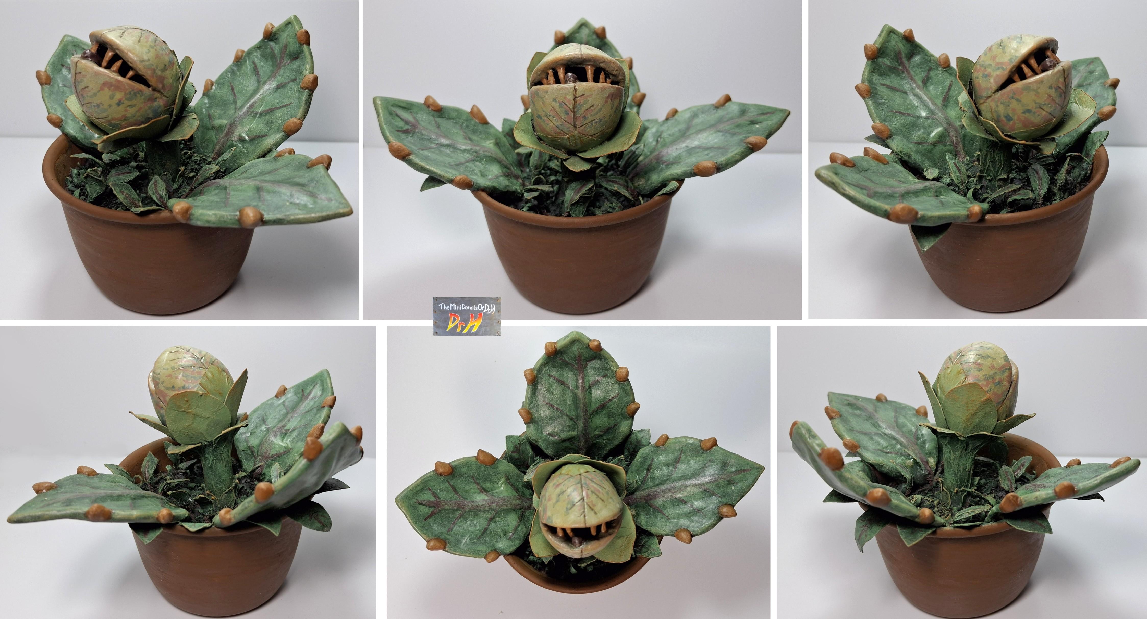 Little Shop Of Horrors, Man Eating, Plant