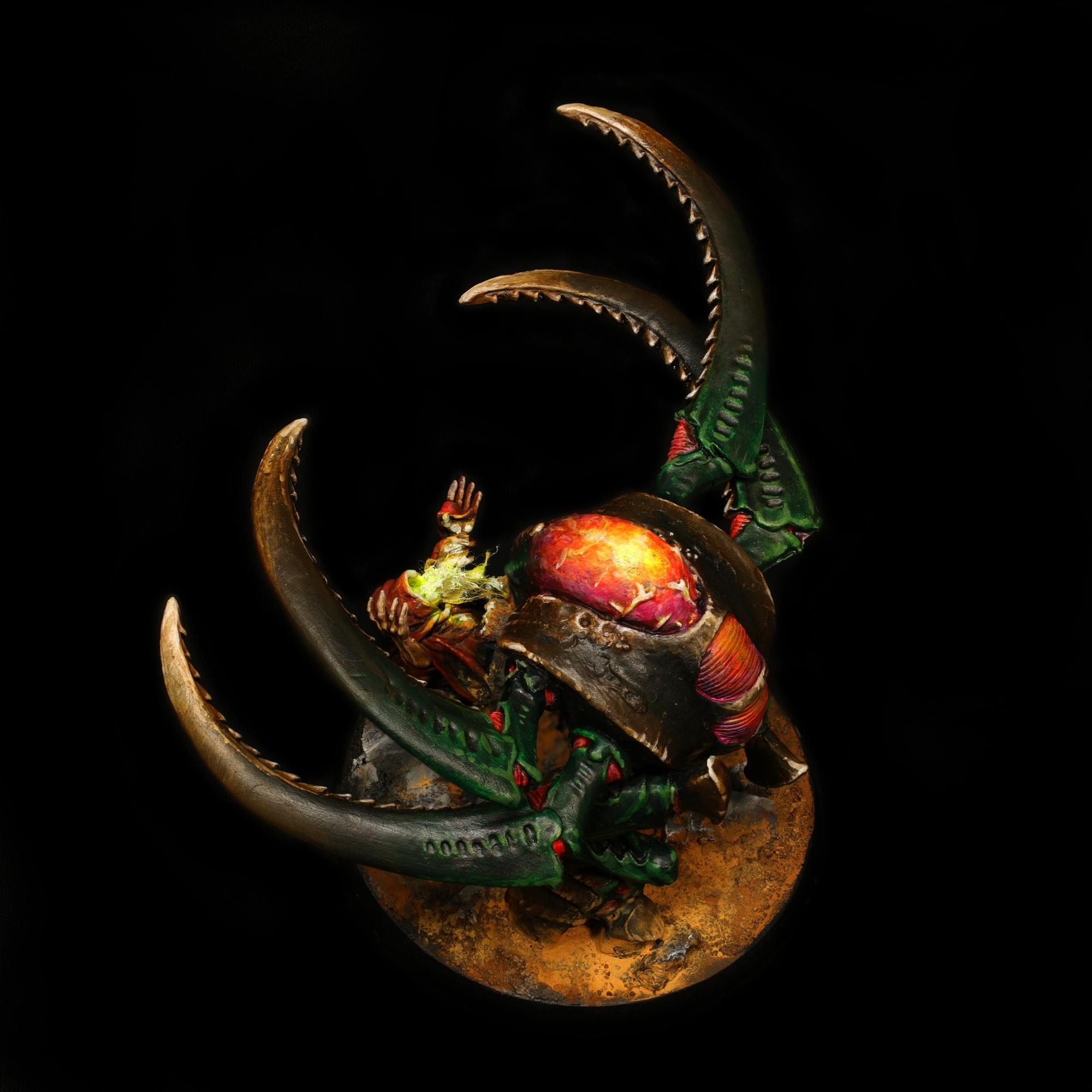 1217944-.JPG