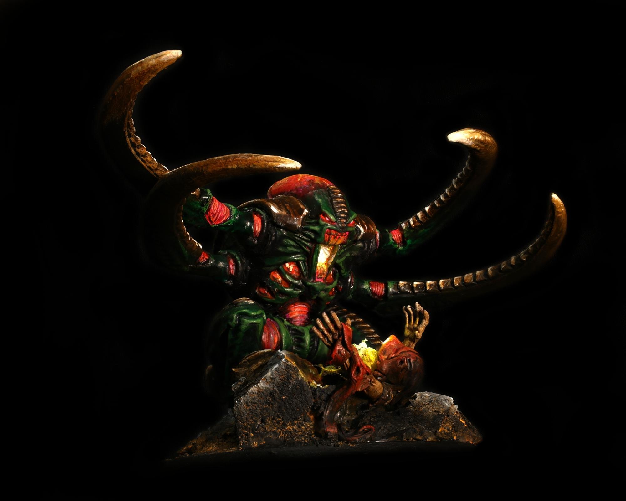 1217945-.JPG