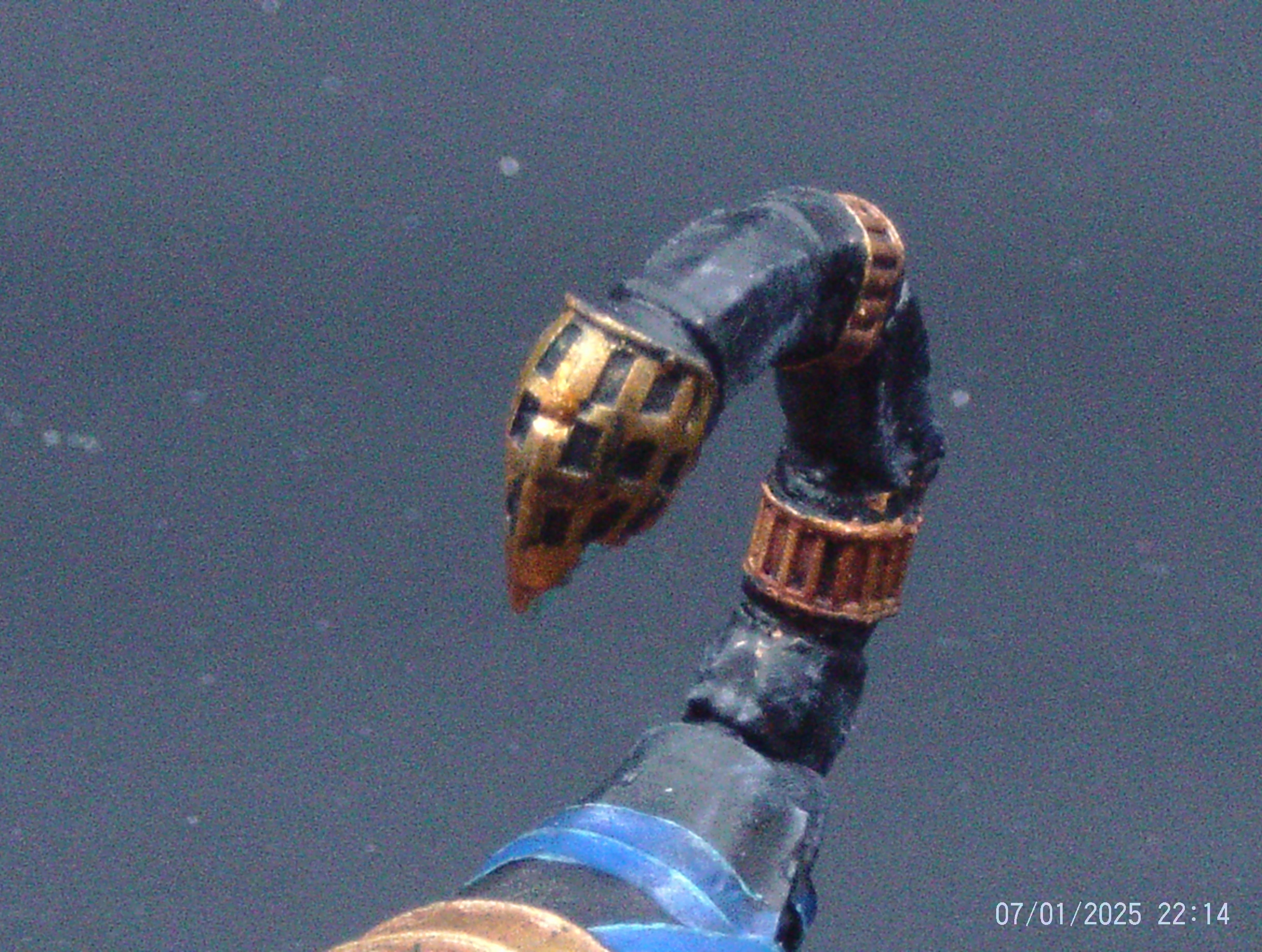 Tomb Scorpion 1 Tail