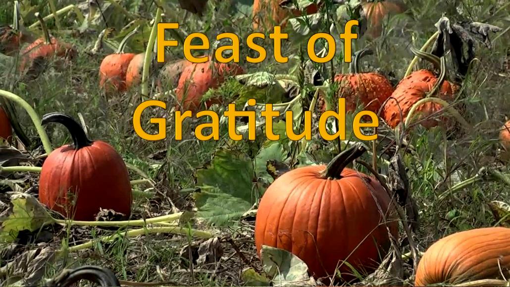 Feast of Gratitude