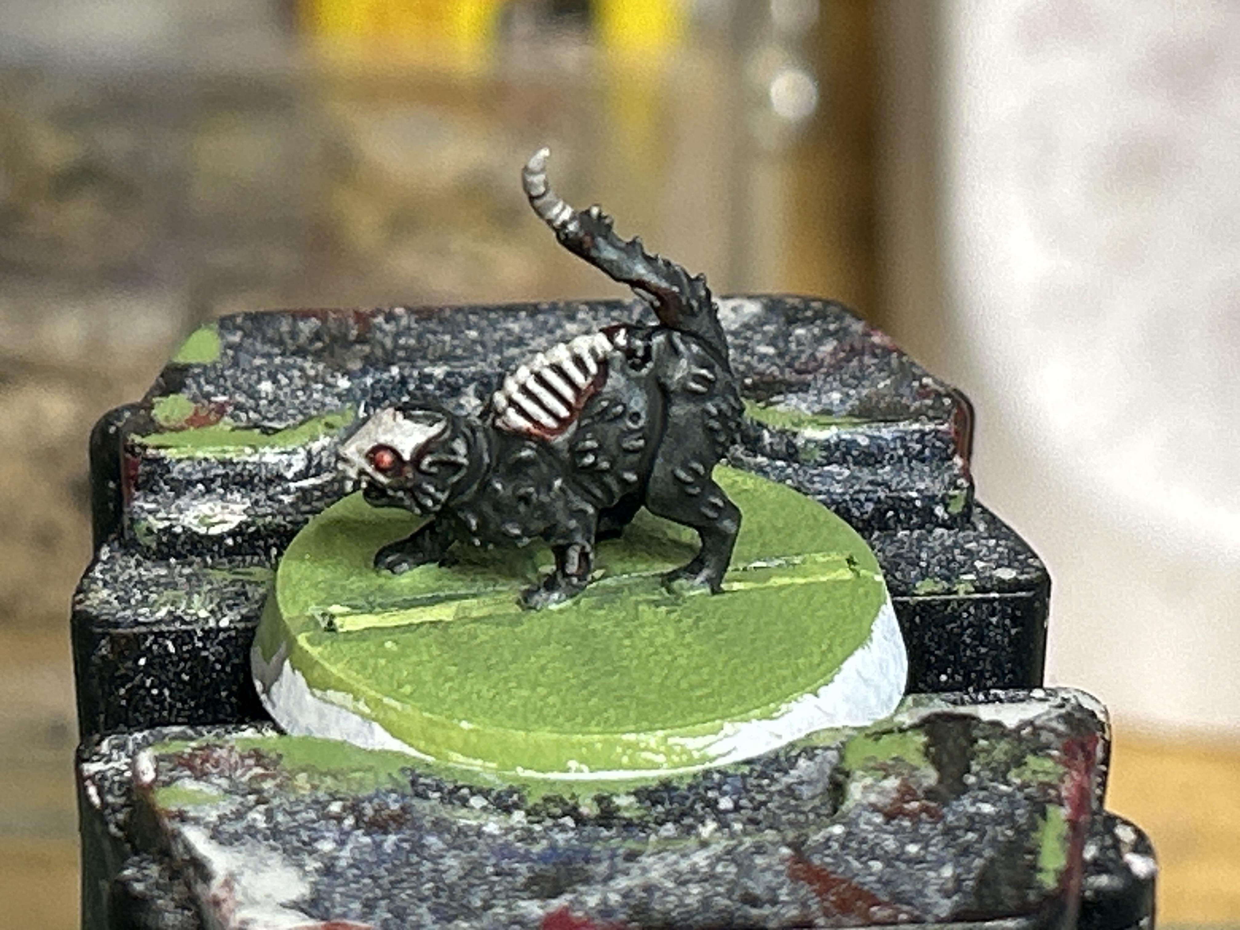 Zombie kitty