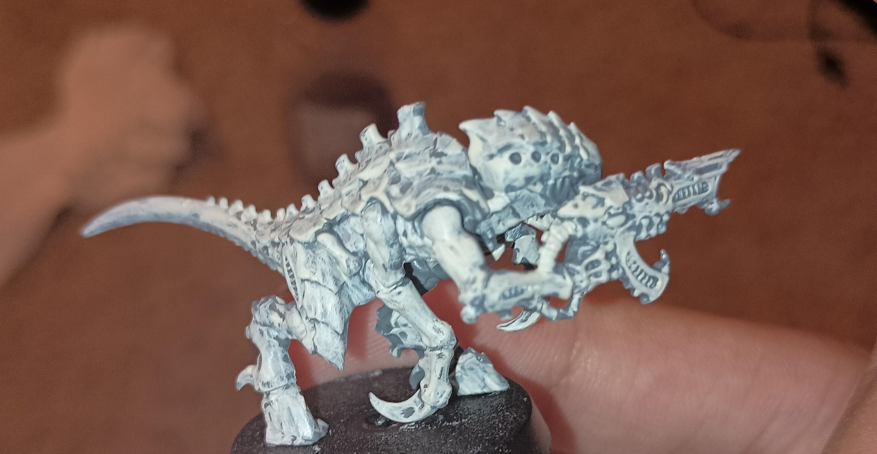 Poor little termagant