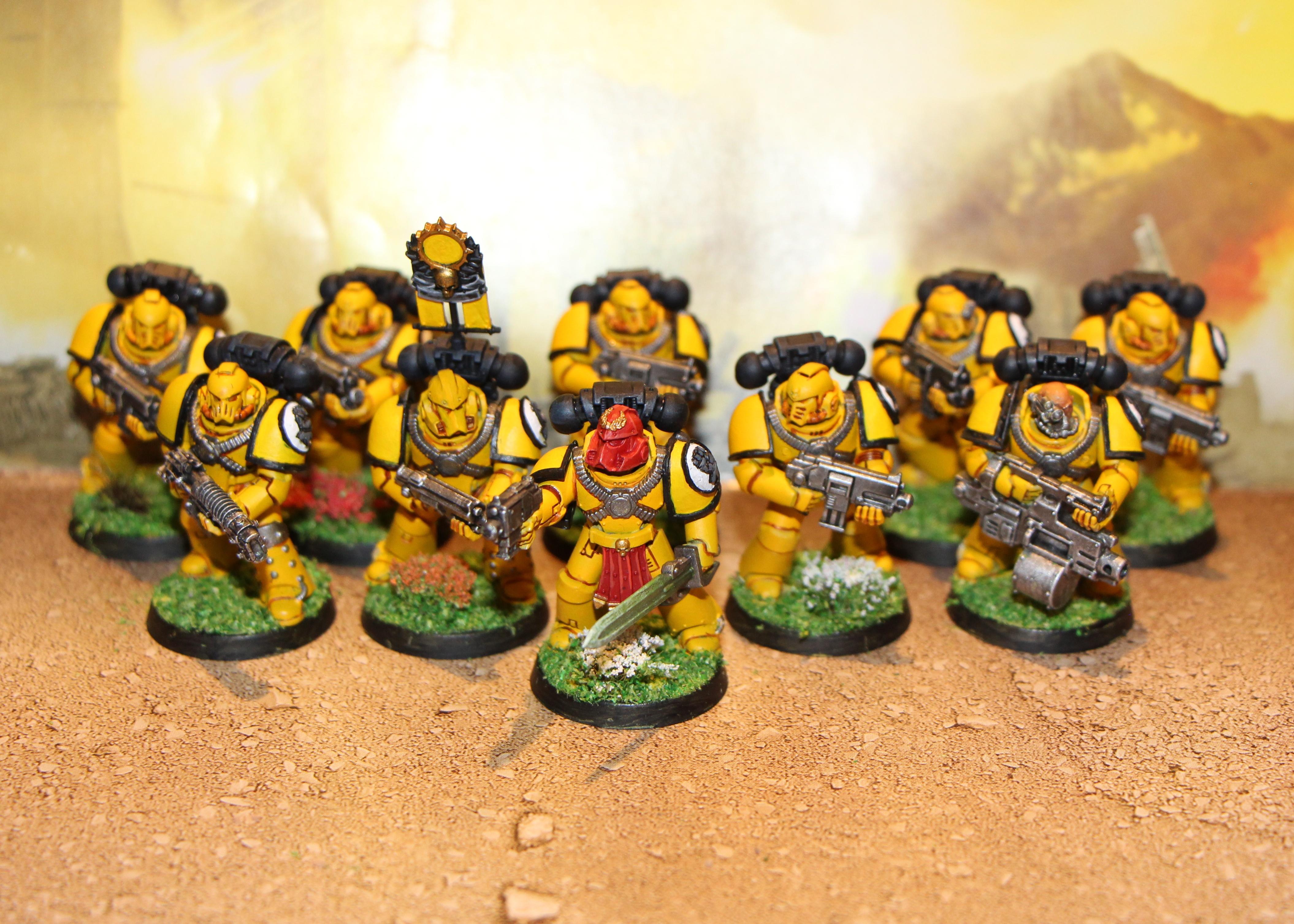Complete-IF Tactical 1
