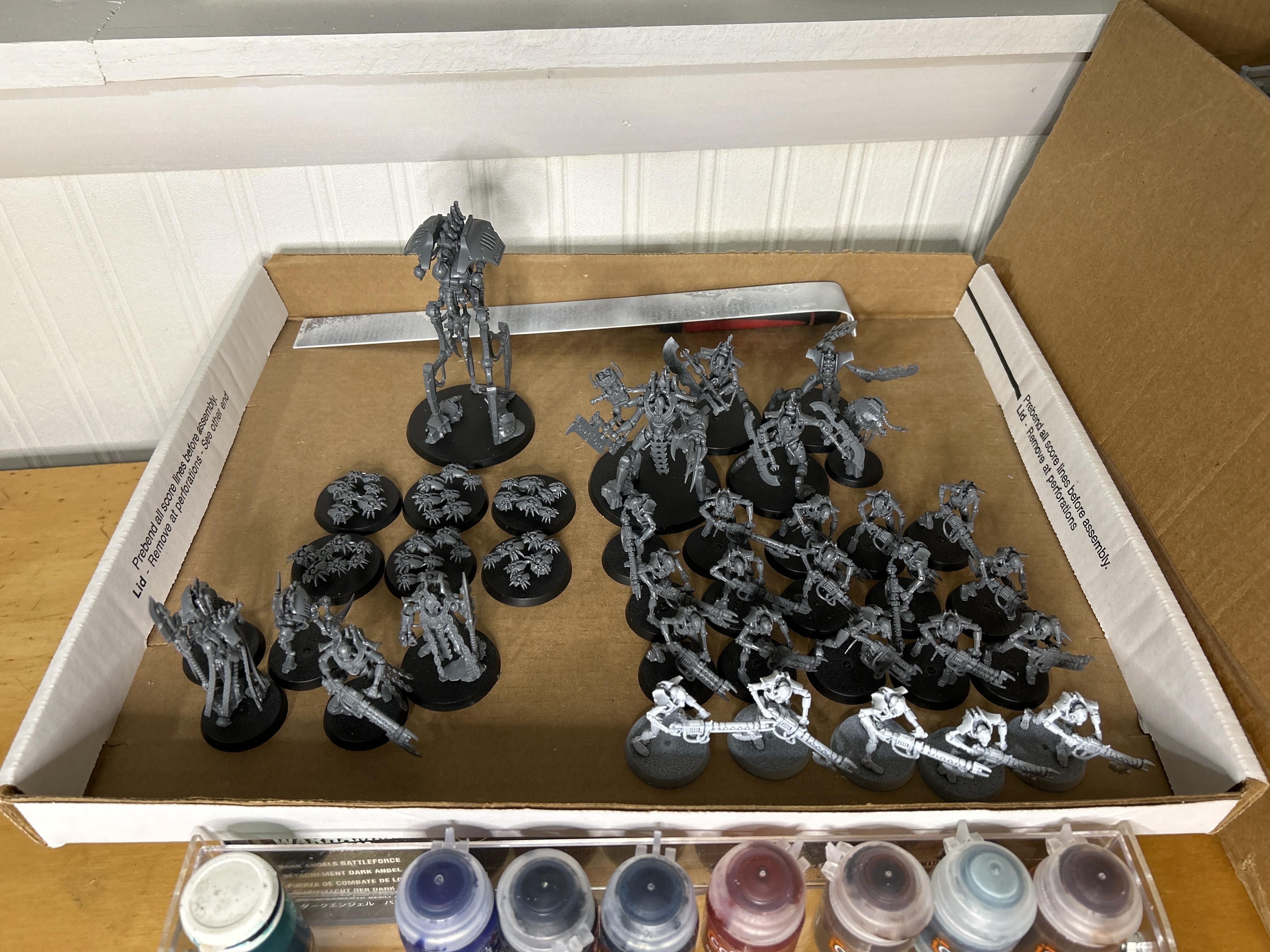 Indominus  built