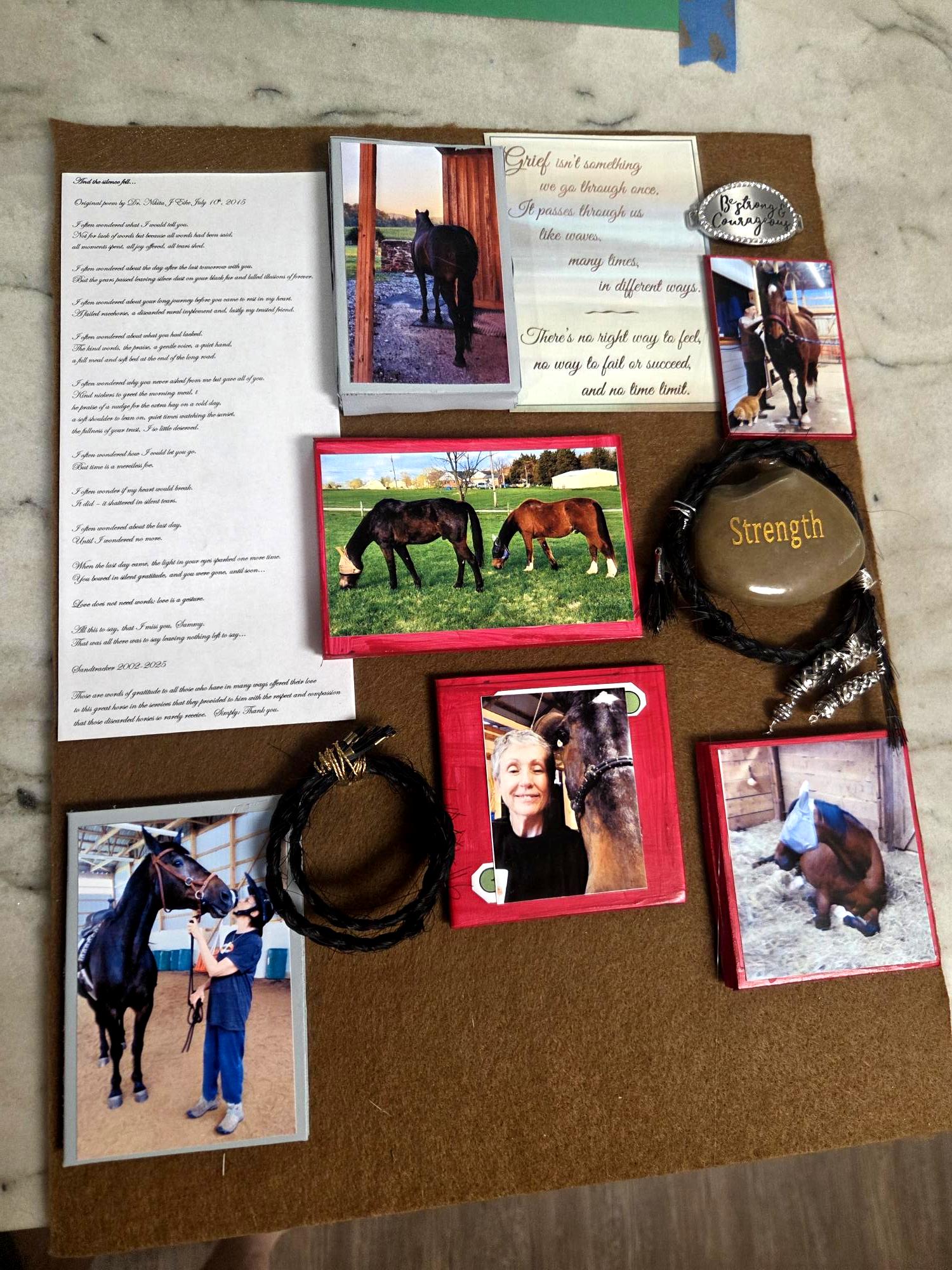Shadow Box Sammy