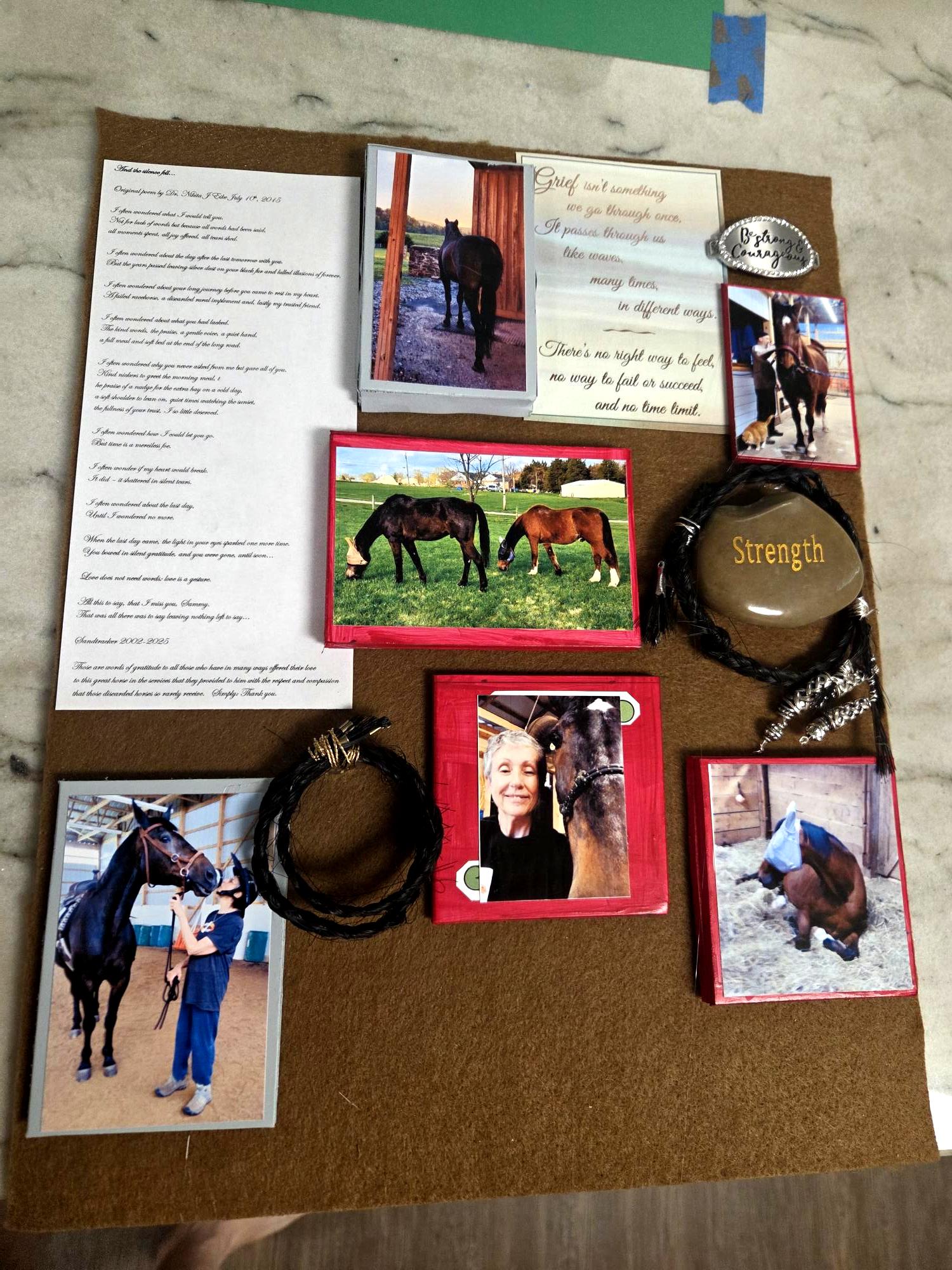 Shadow Box Sammy
