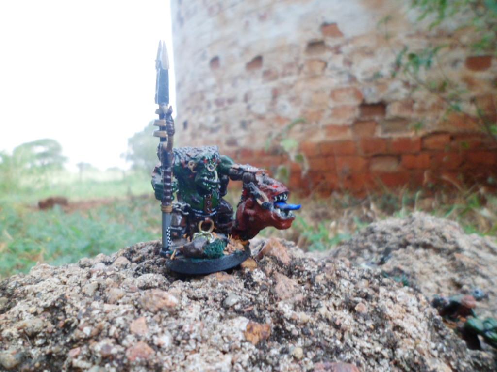 #warhammer #tabletop #miniatures #models #games #orks #custommade #handpainted #south-africa #40k #nature #goffs #gretchin