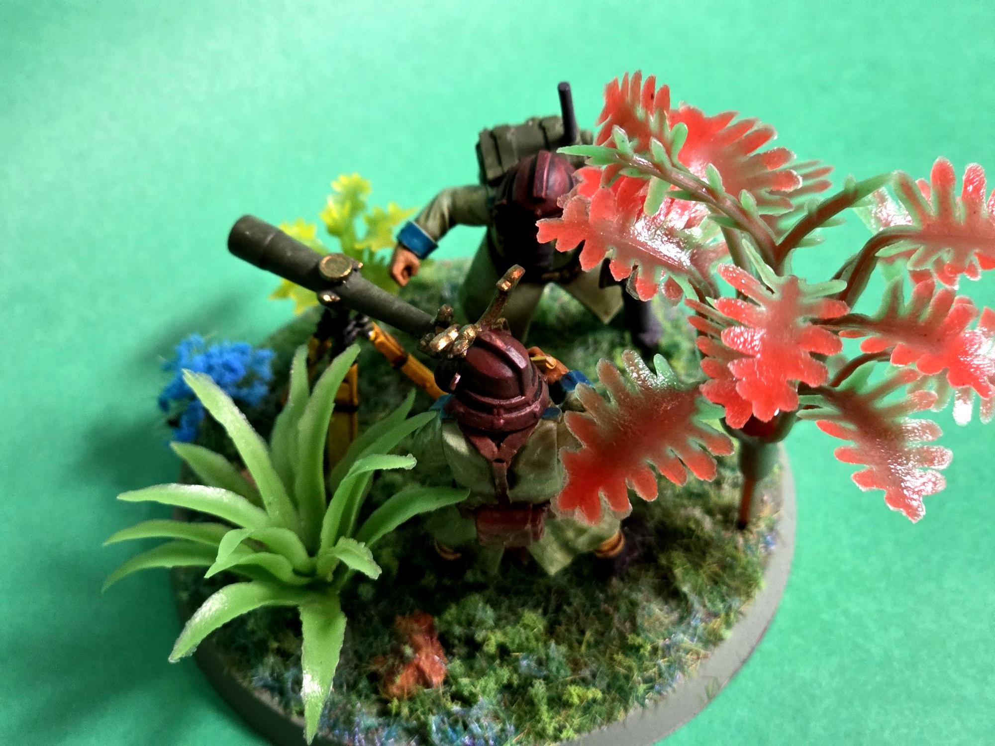 Forward, Guard, Imperial, Observers, Samurai, Space