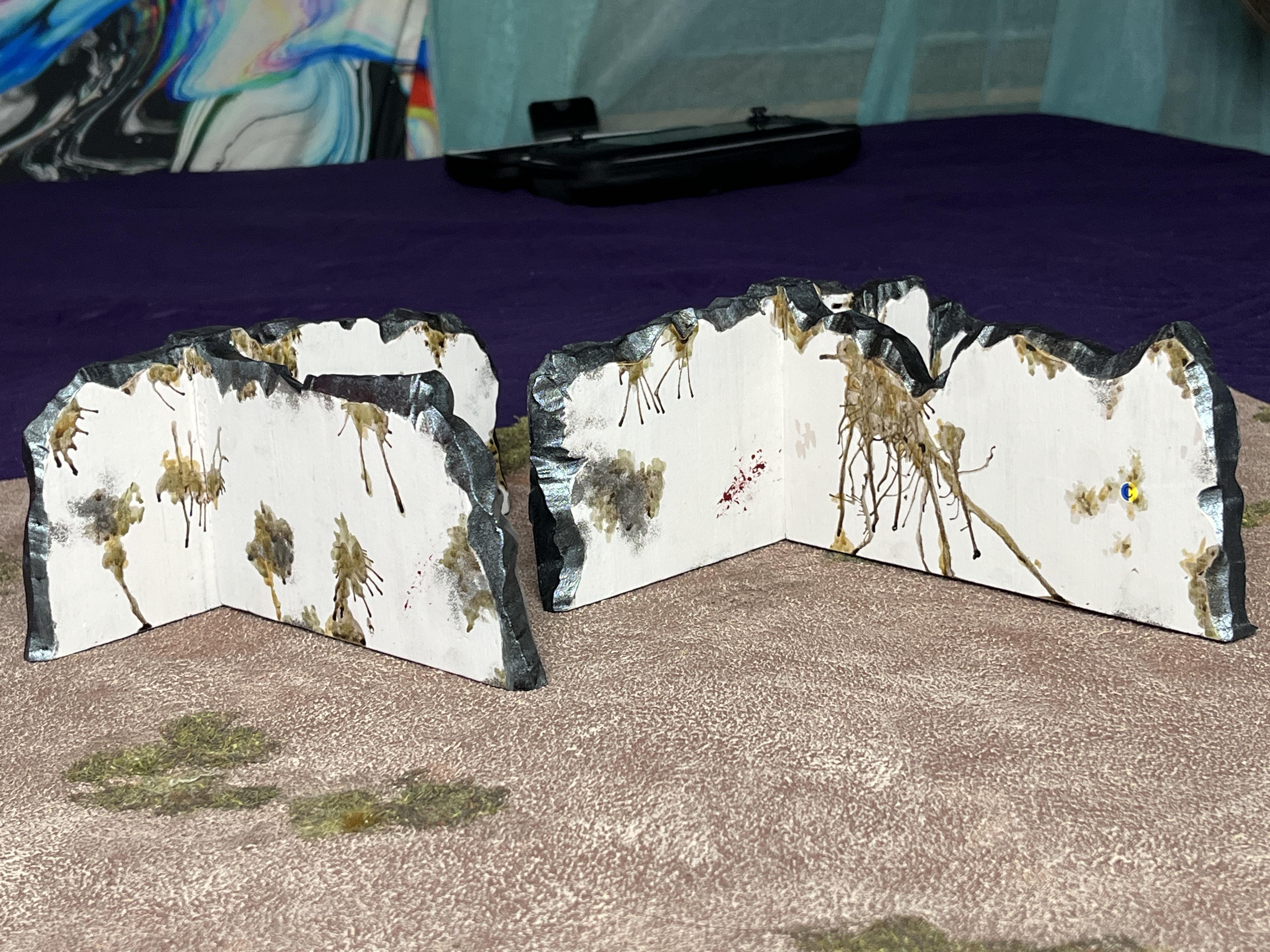 Terrain