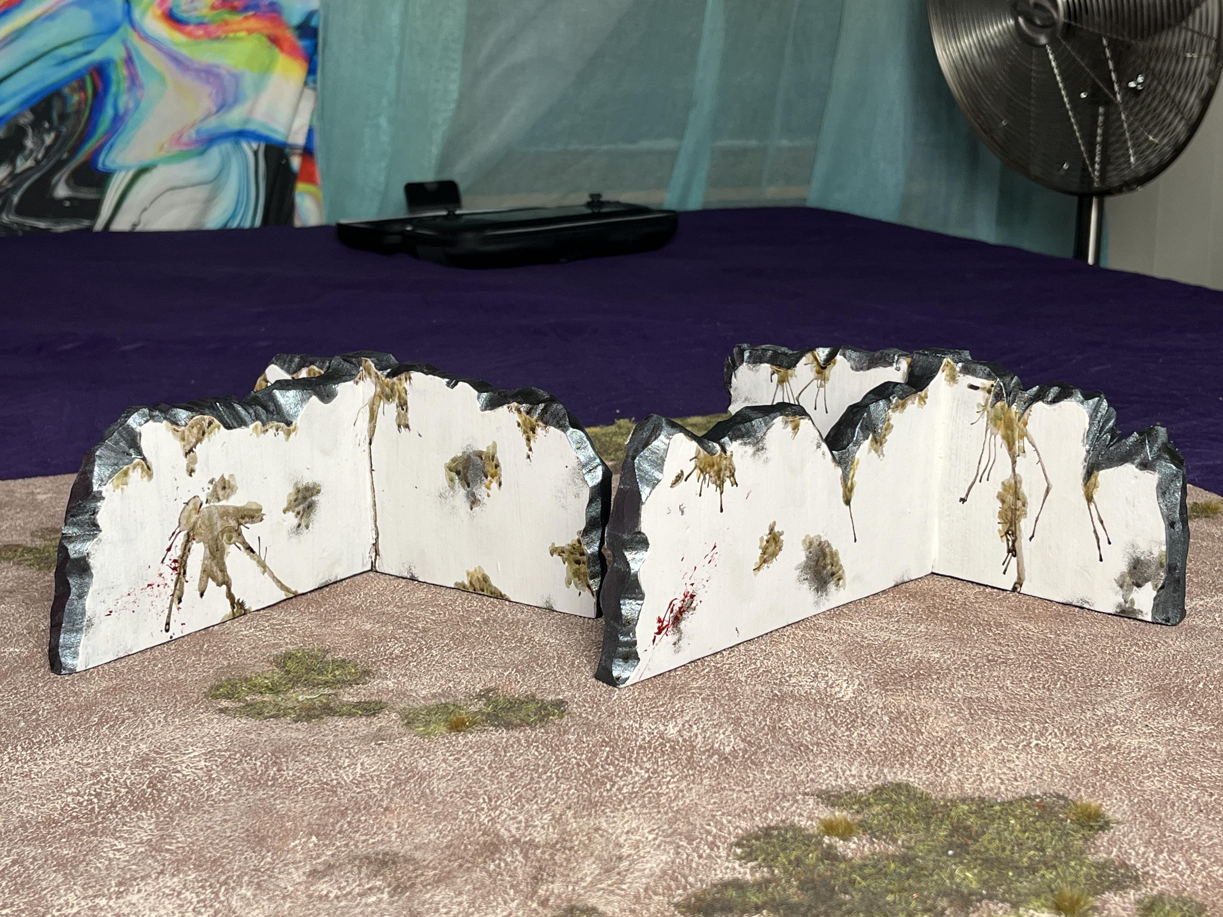 Terrain