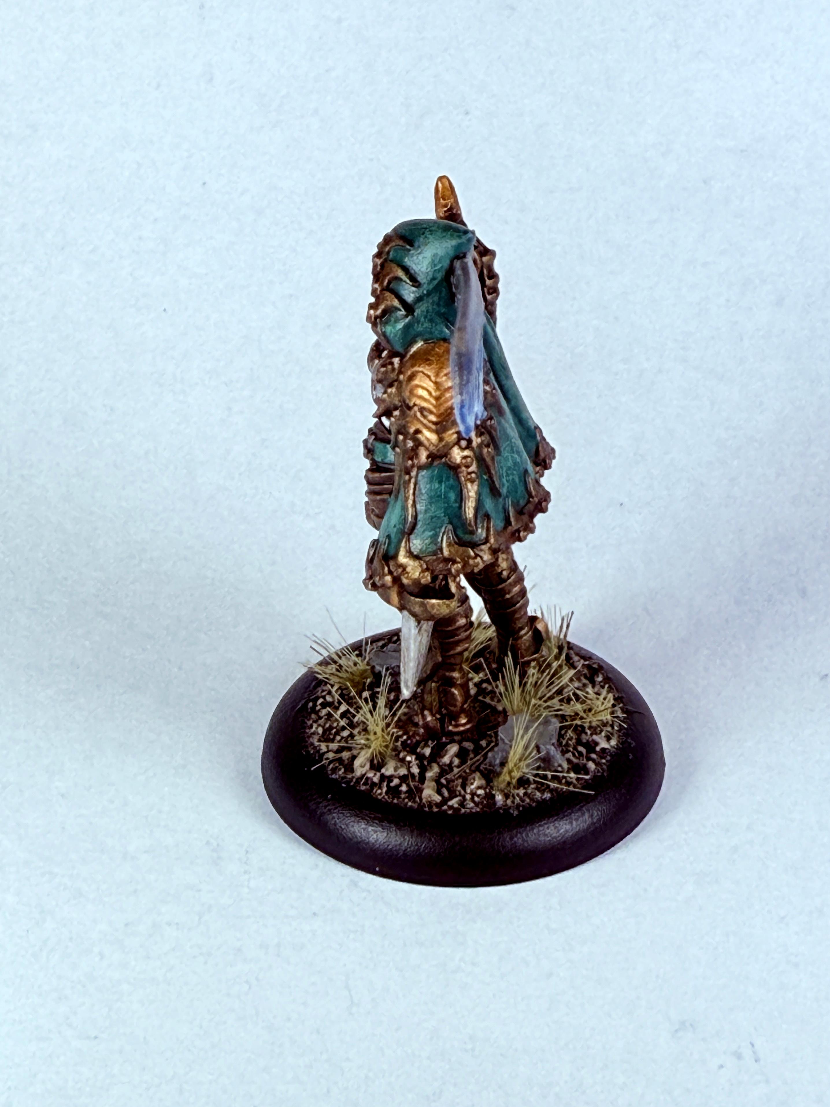 Dusk, Elves, House Kallyss, Ios, Mercenary, Solo, Warmachine