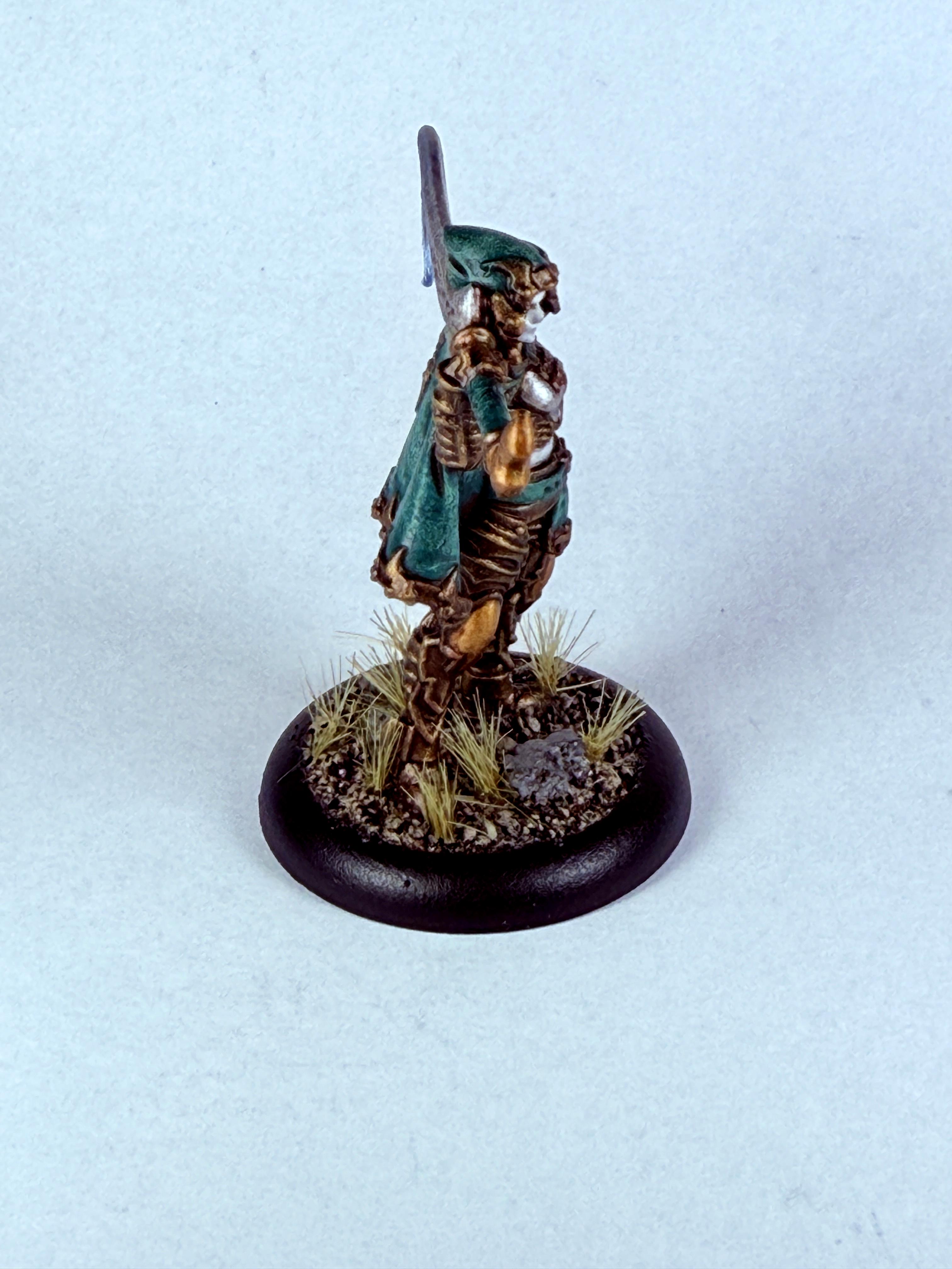 Dusk, Elves, House Kallyss, Ios, Mercenary, Solo, Warmachine