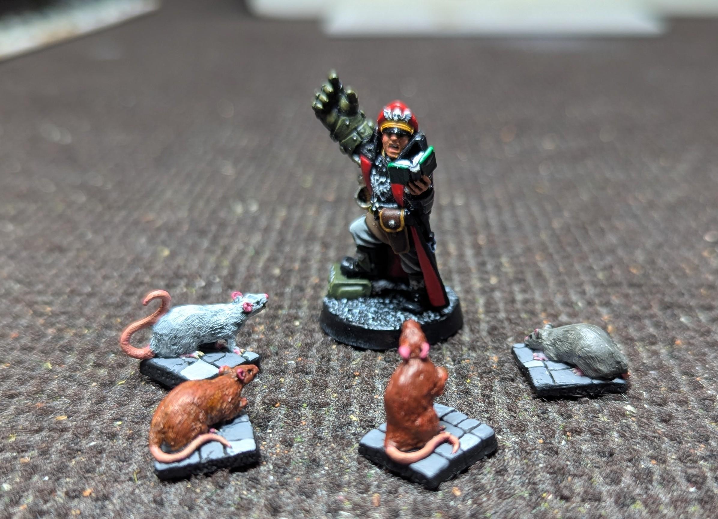 2025, Dire Rats, Painted, Rats, Reaper, Sandra Garrity
