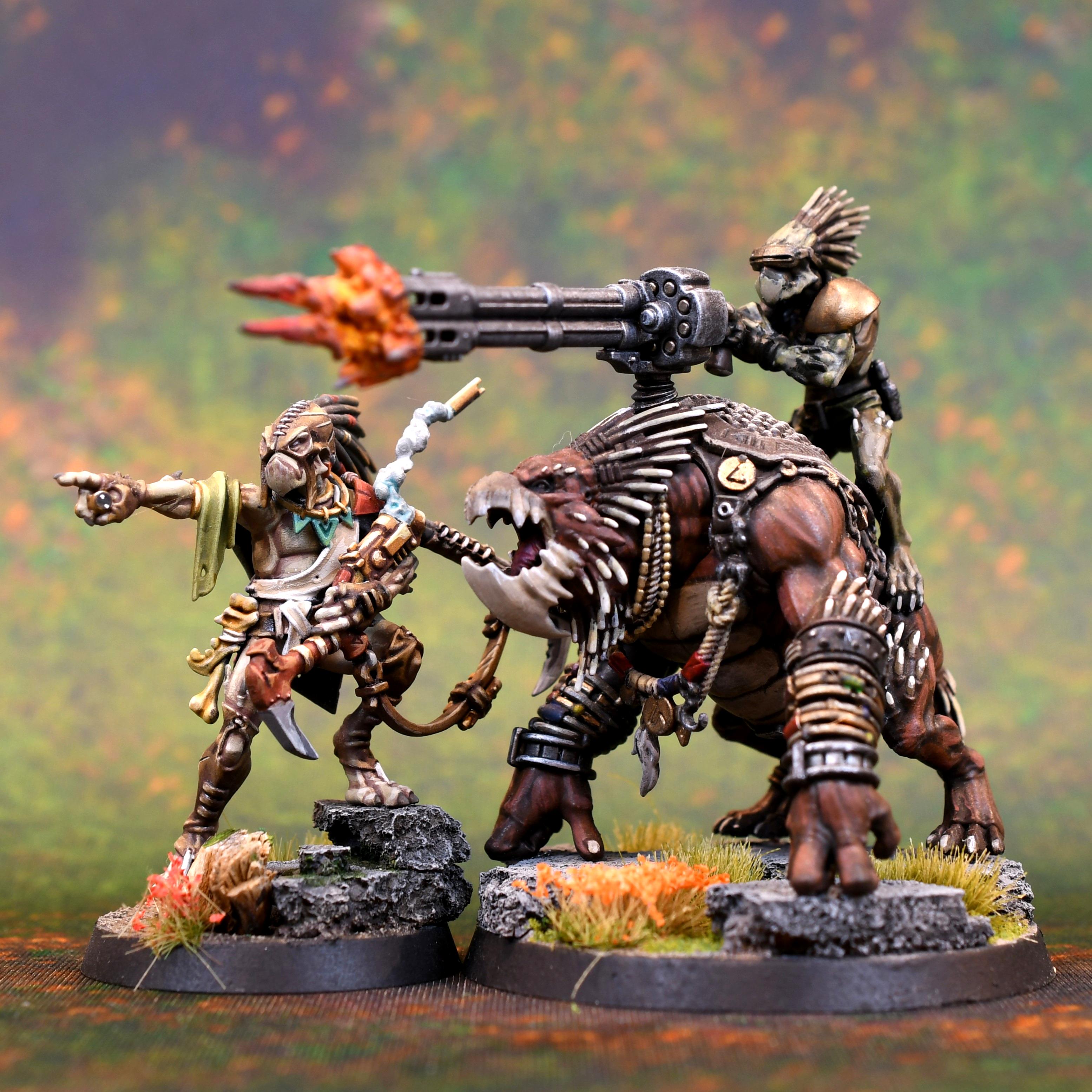 Kroot, Krootox, Tau Empire