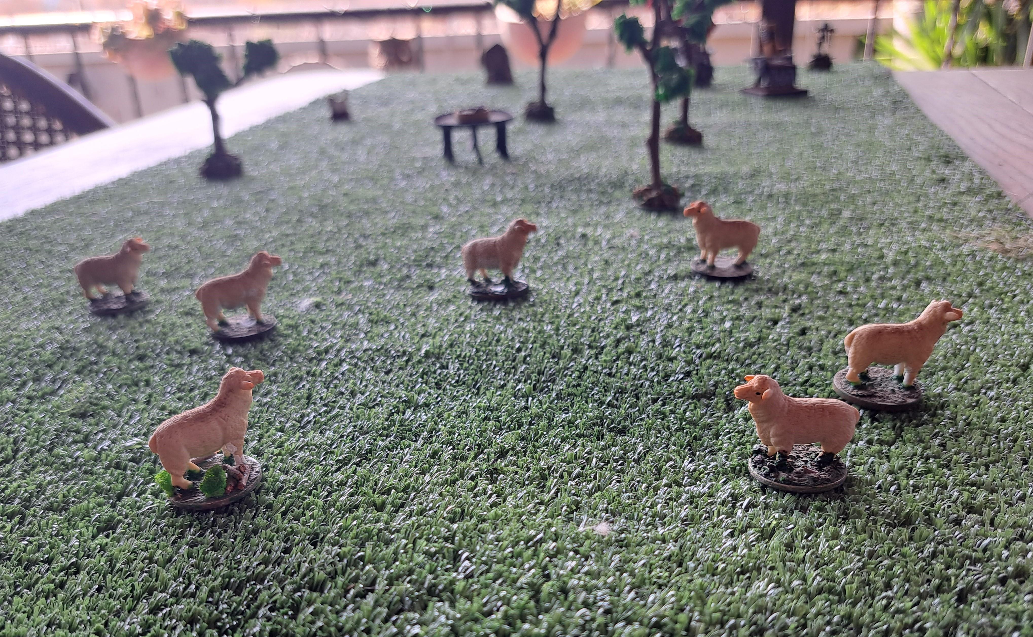 #sheep #warhammer #tabletop #miniatures #models #games #custommade #handpainted #south-africa #acrylics #ageofsigmar #fantasy #t