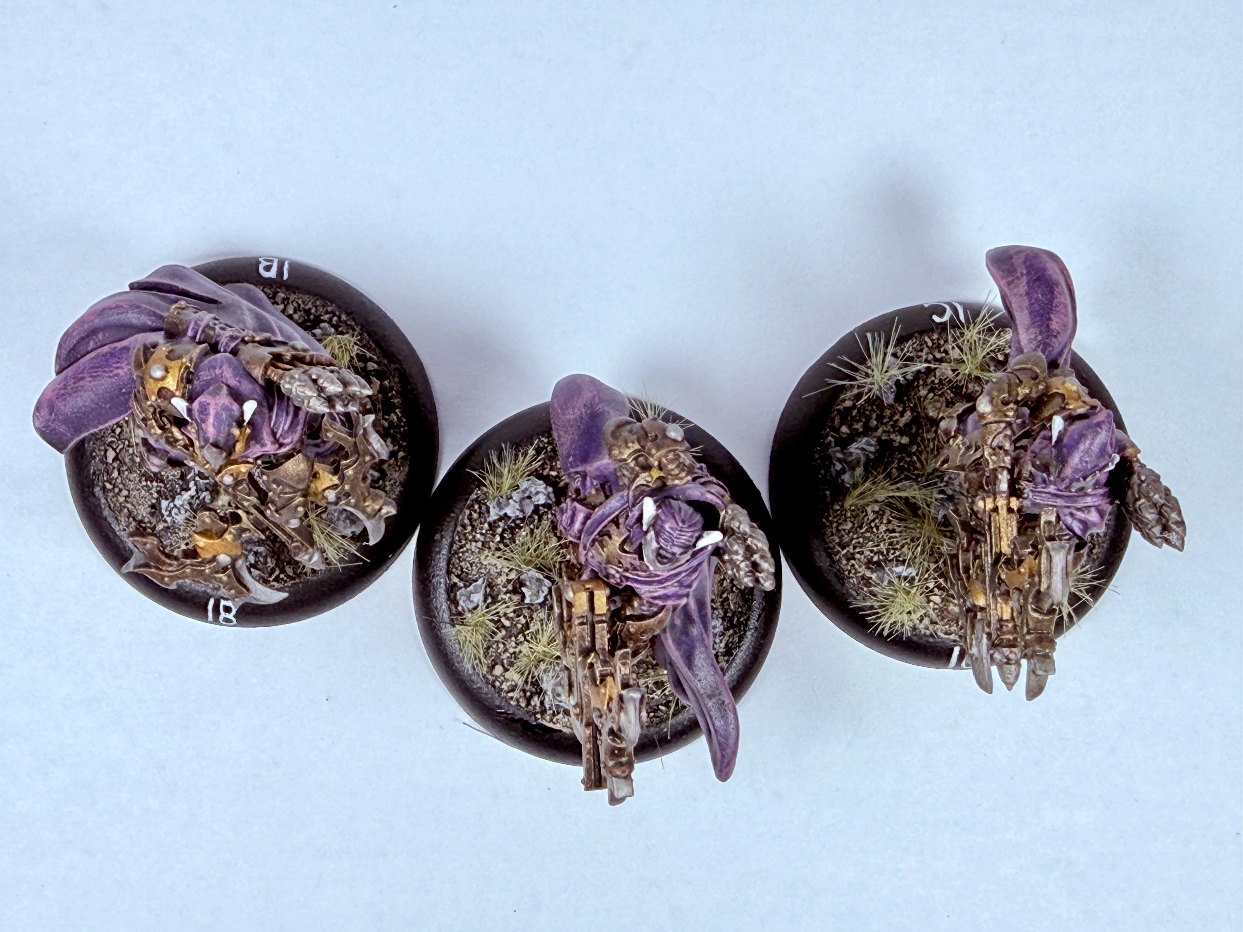 Archers, Dusk, Elves, Undead, Unit, Vampire, Warmachine