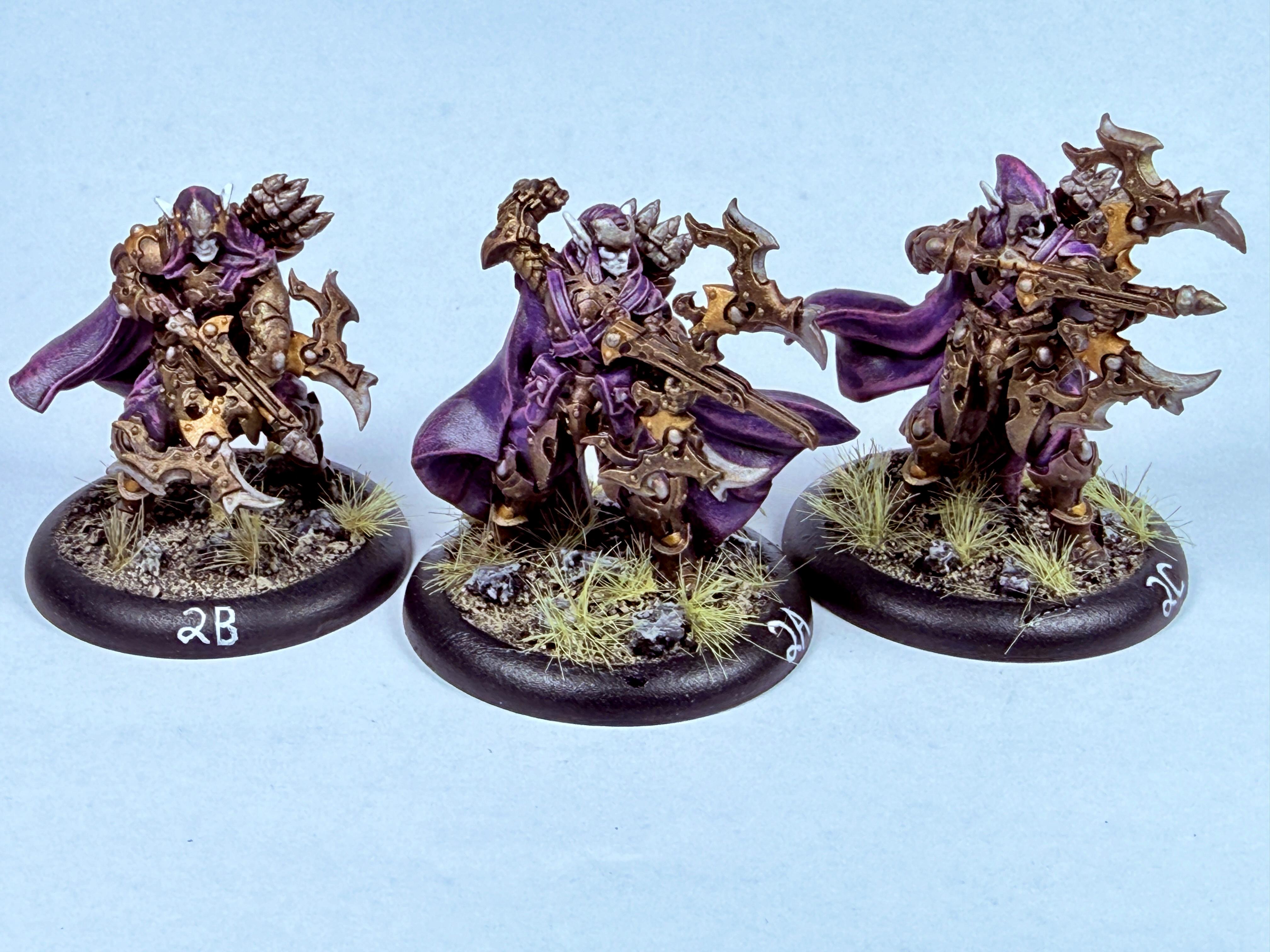 Archers, Dusk, Elves, Undead, Unit, Vampire, Warmachine