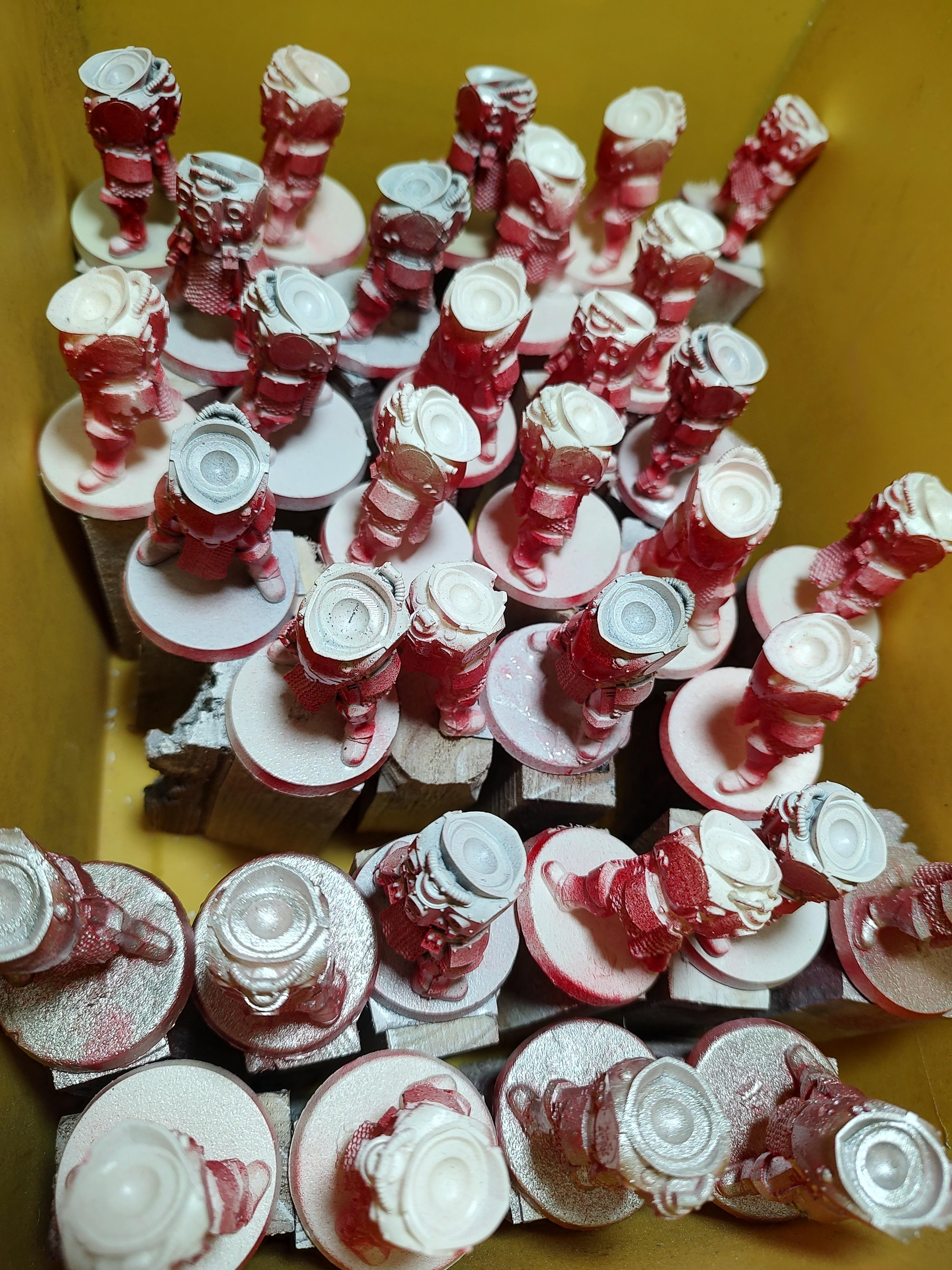 Astra Militarum, Imperial Guard, Knights, Ogryns, Palatinate