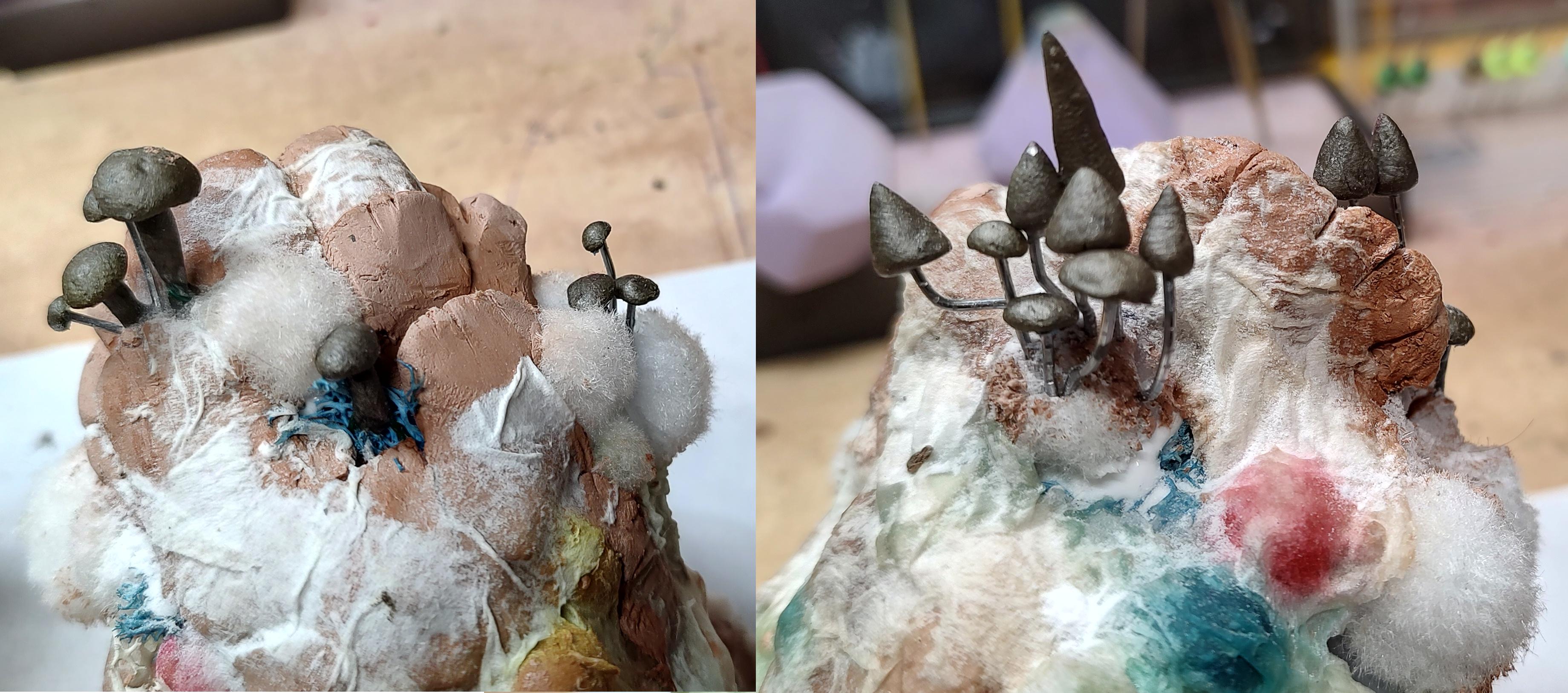 #bigbotbash3, Big Bot Bash, Bill Making Stuff, Fungus, Mushroom, Scratch Build