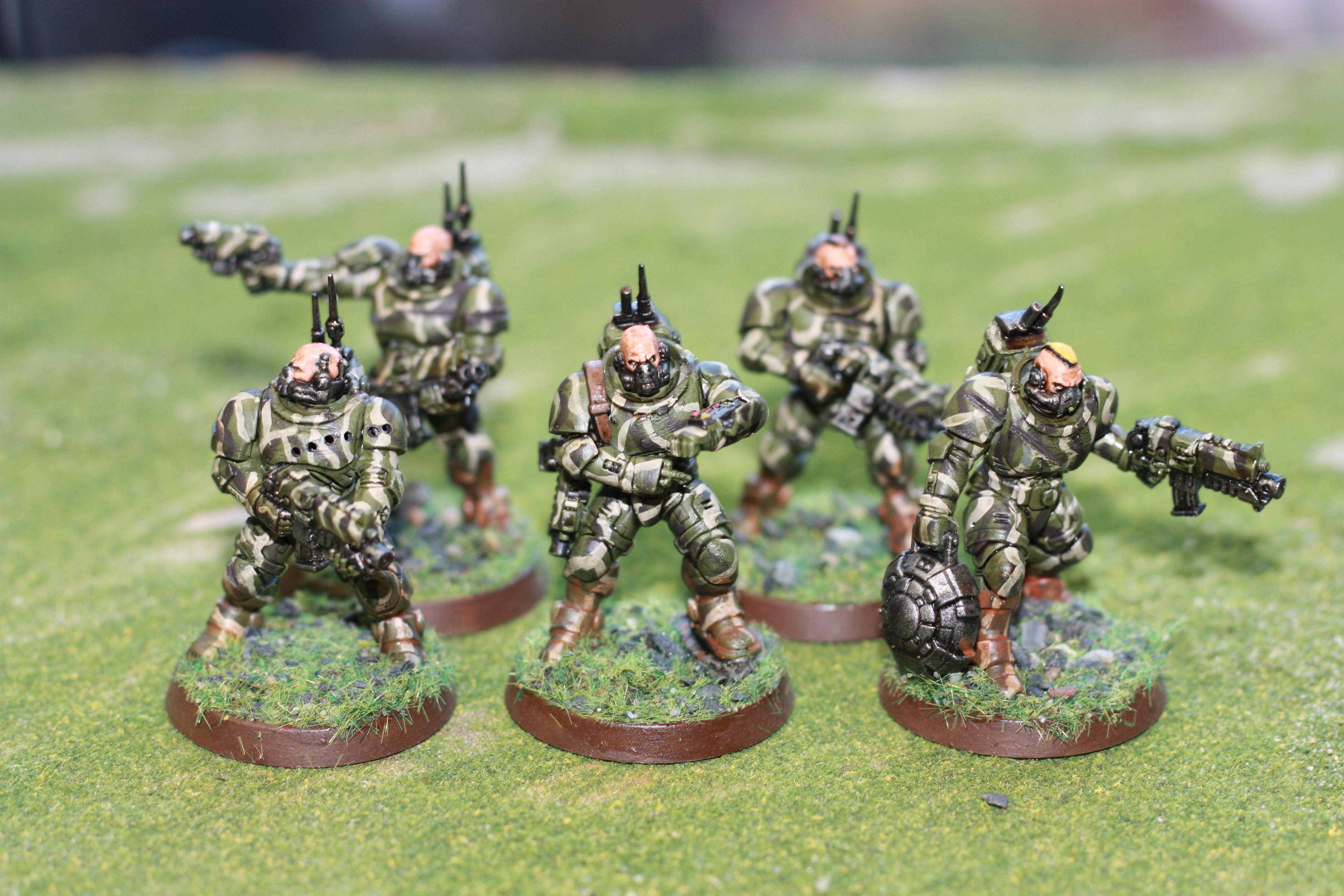 Greyshields, Inflitrators, Primaris, Space Marines, Woodland Camo