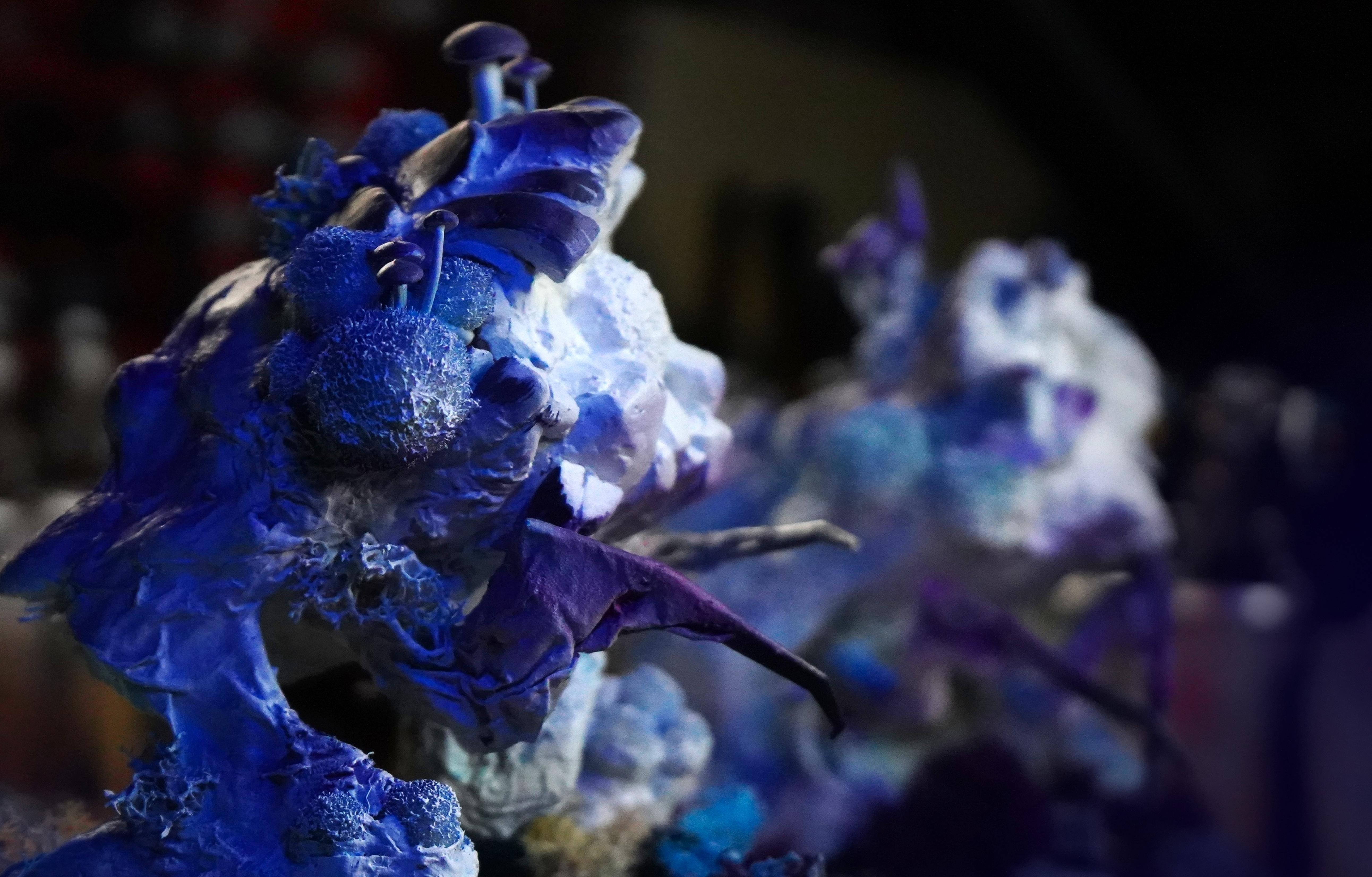 Big Bot Bash, Bill Making Stuff, Fungus, Mushroom, Scratch Build