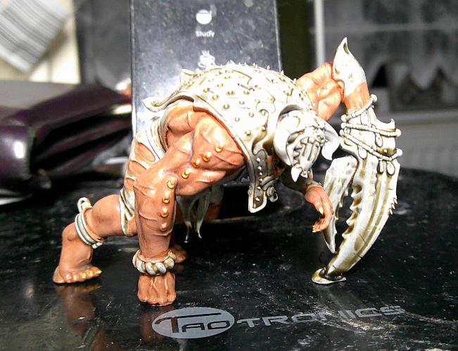 Chaos, Warhammer Aos, Work In Progress