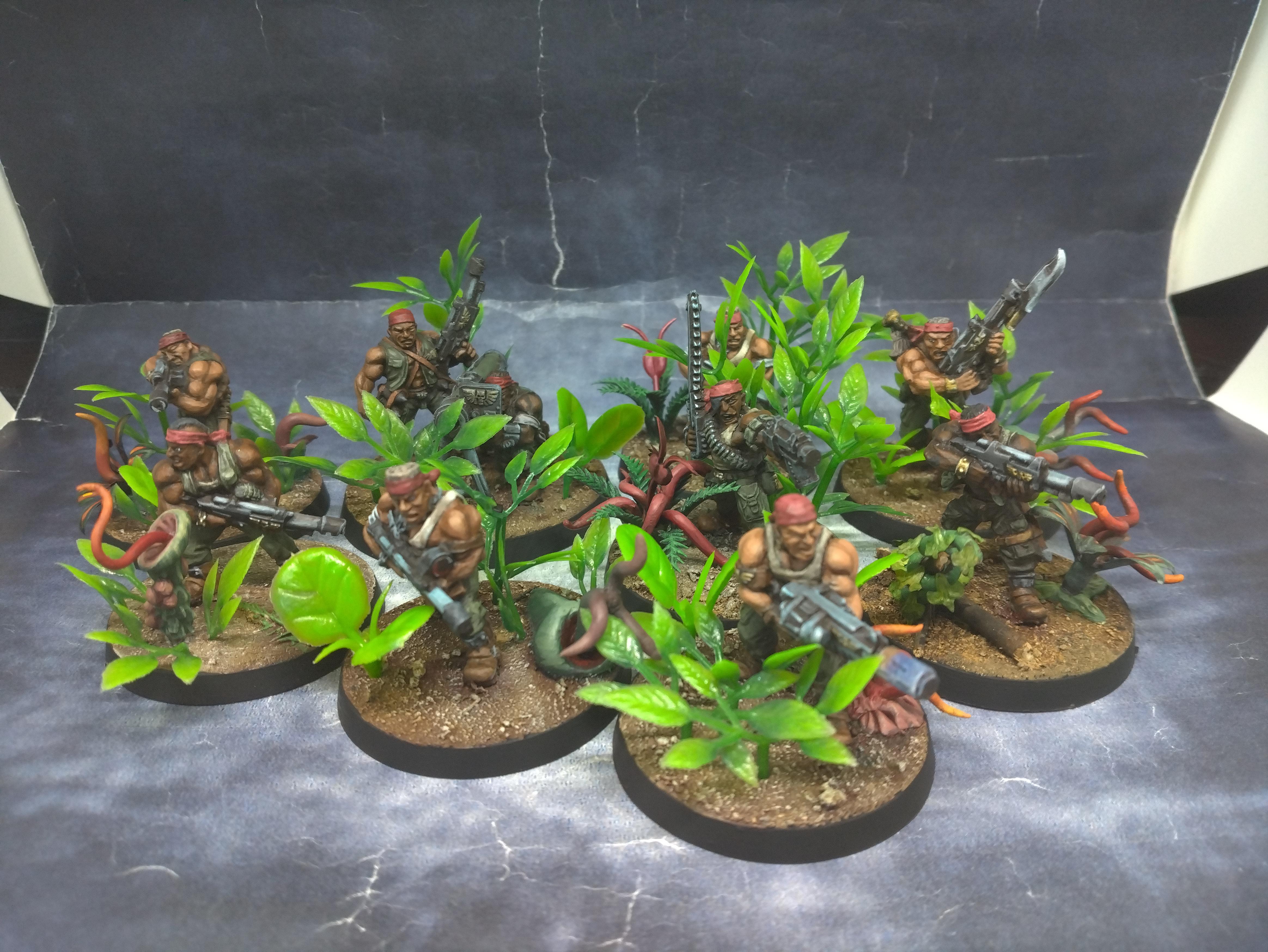 Catachan, Imperial Guard, Jungle, Jungle Fighter, March 2026, Metal, Out Of Production