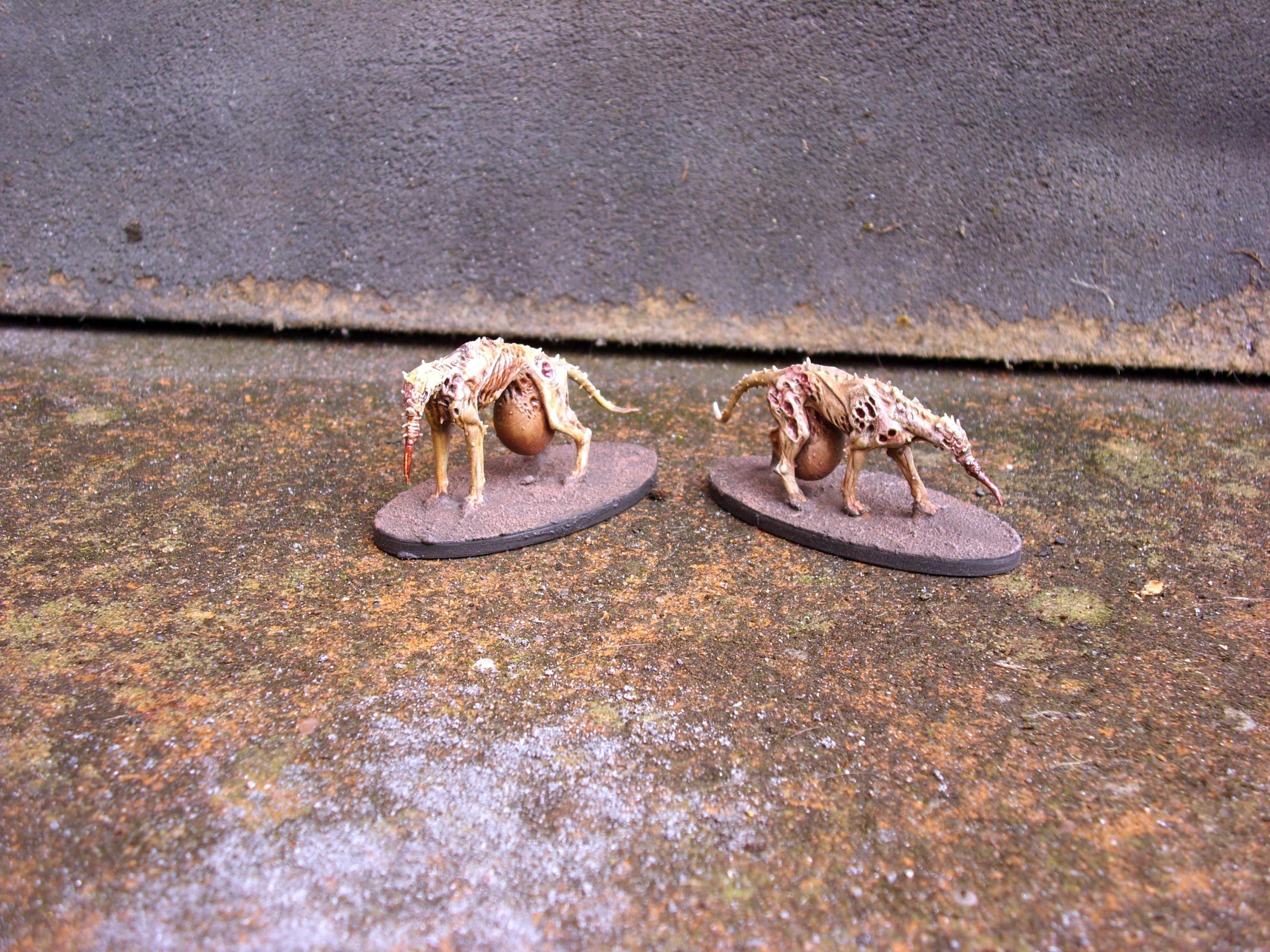 Beelzebub, Black Death, Black Grail, Conversion, Cult Of The Black Grail, Factory Fortress, Hell, Hounds Of The Black Grail, Plague, Plague Dogs, Trecnh Crusade