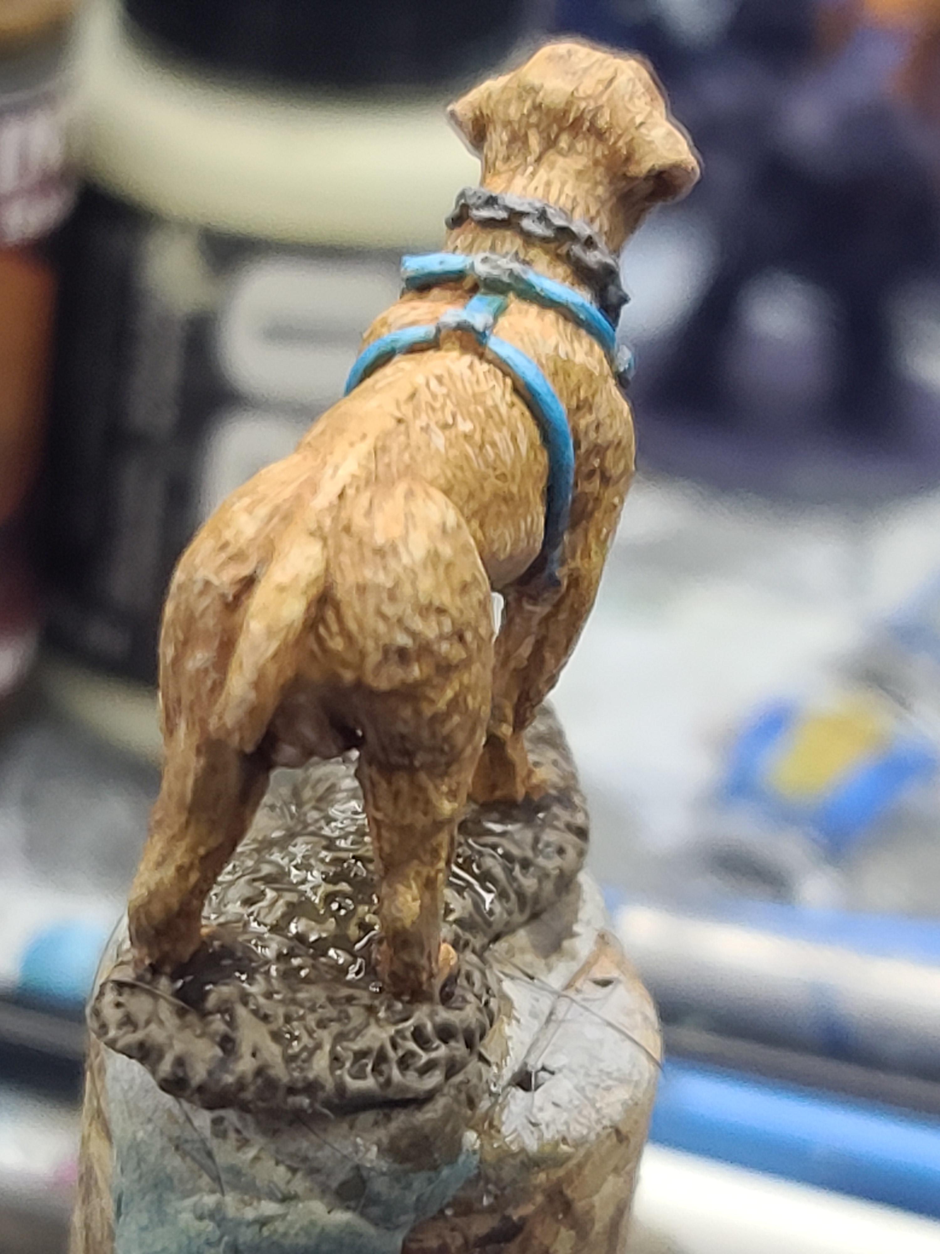 B Jackson Sculpt, Bones Usa, Dungeons And Dragons, Reaper Miniatures, War Dog