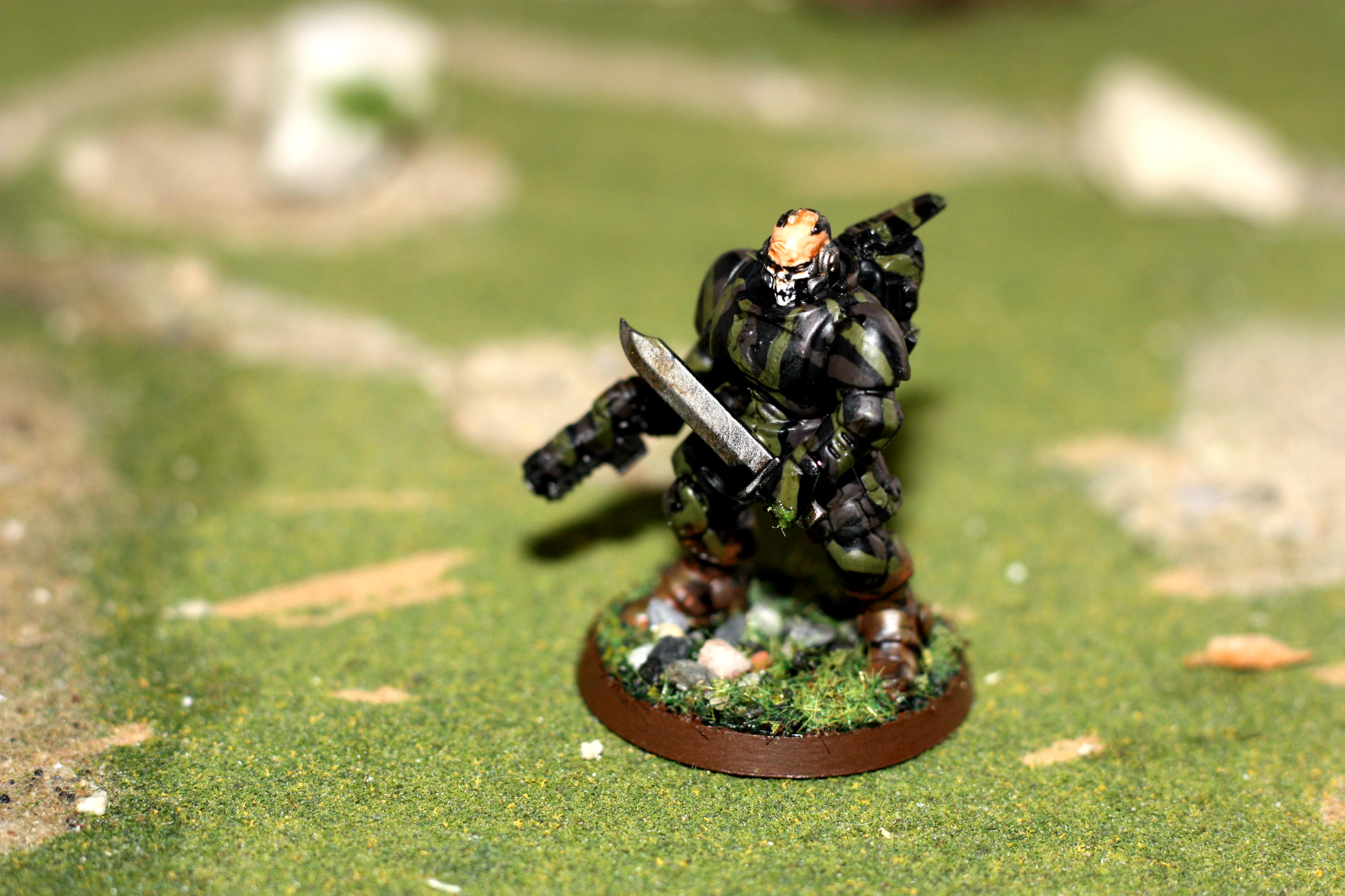 Conversion, Phobos, Reivers, Space Marines, Woodland Camo