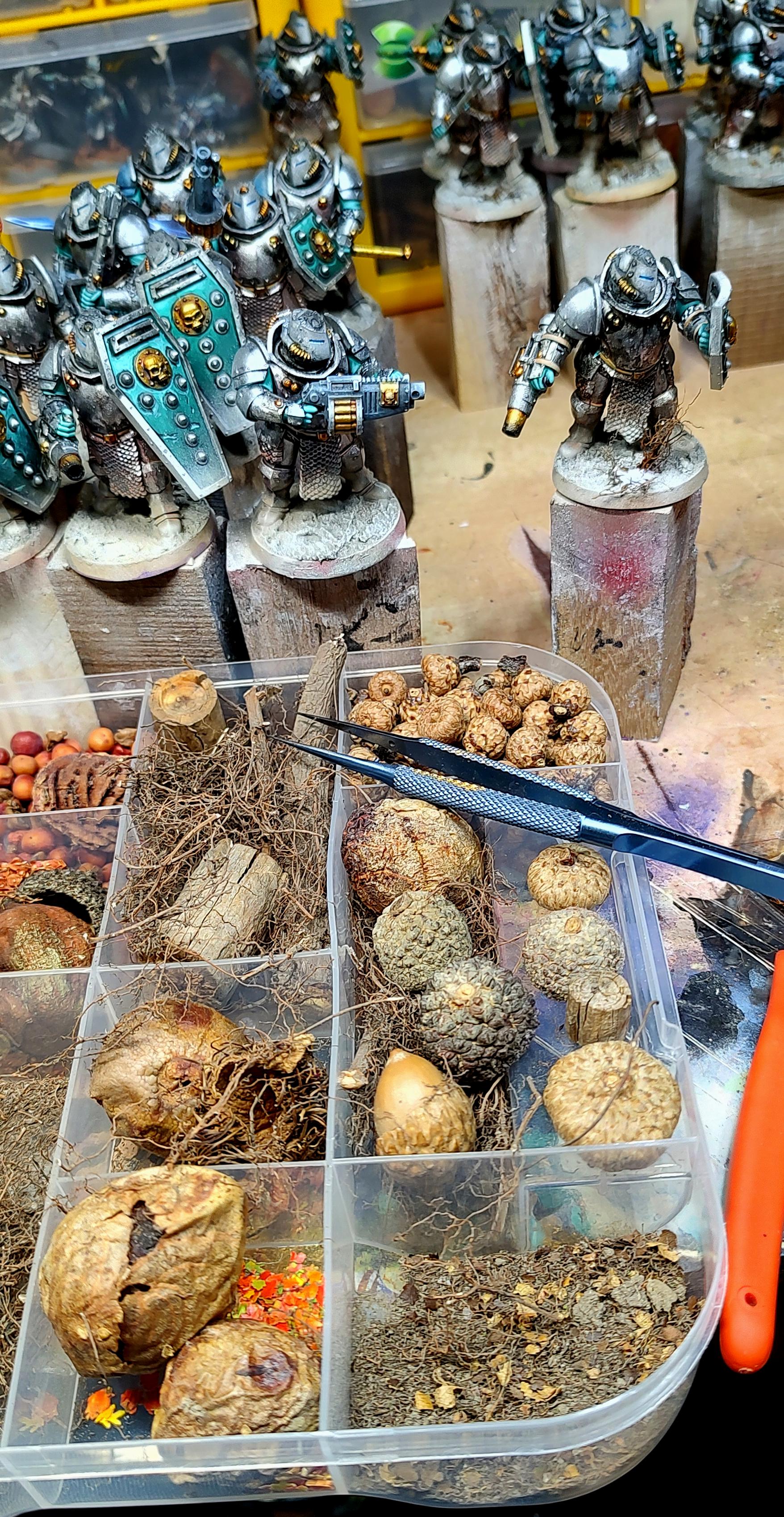 Astra Militarum, Feudal, Imperial Guard, Knights, Ogryns, Palatinate