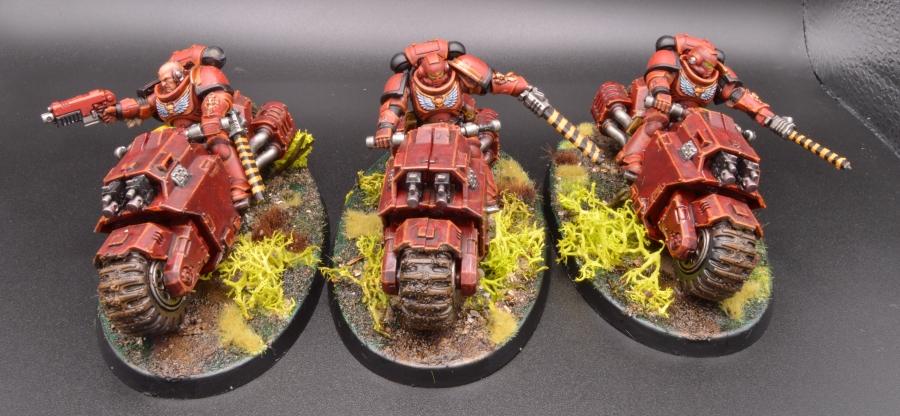 Assault Bikes, Knights Sanguine, Primus, Space Marines