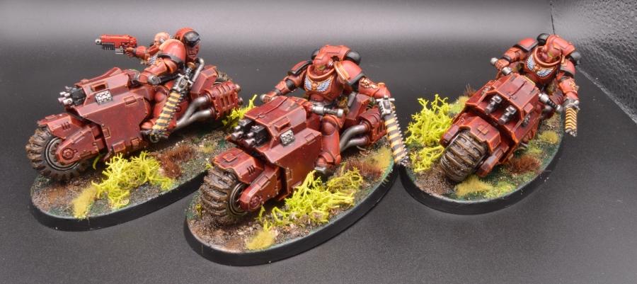 Assault Bikes, Knights Sanguine, Primus, Space Marines