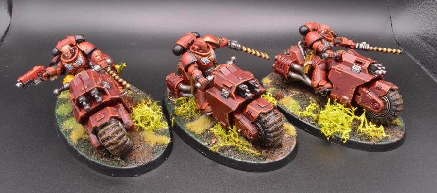 Assault Bikes, Knights Sanguine, Primus, Space Marines