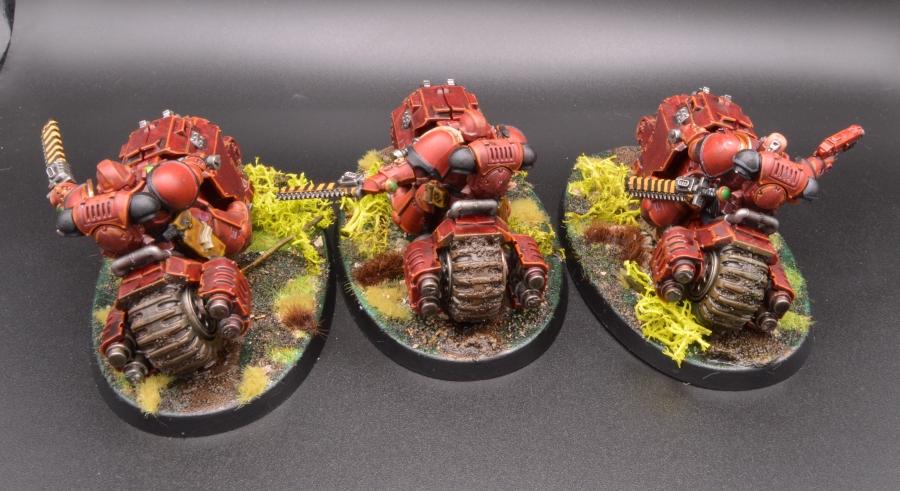 Assault Bikes, Knights Sanguine, Primus, Space Marines