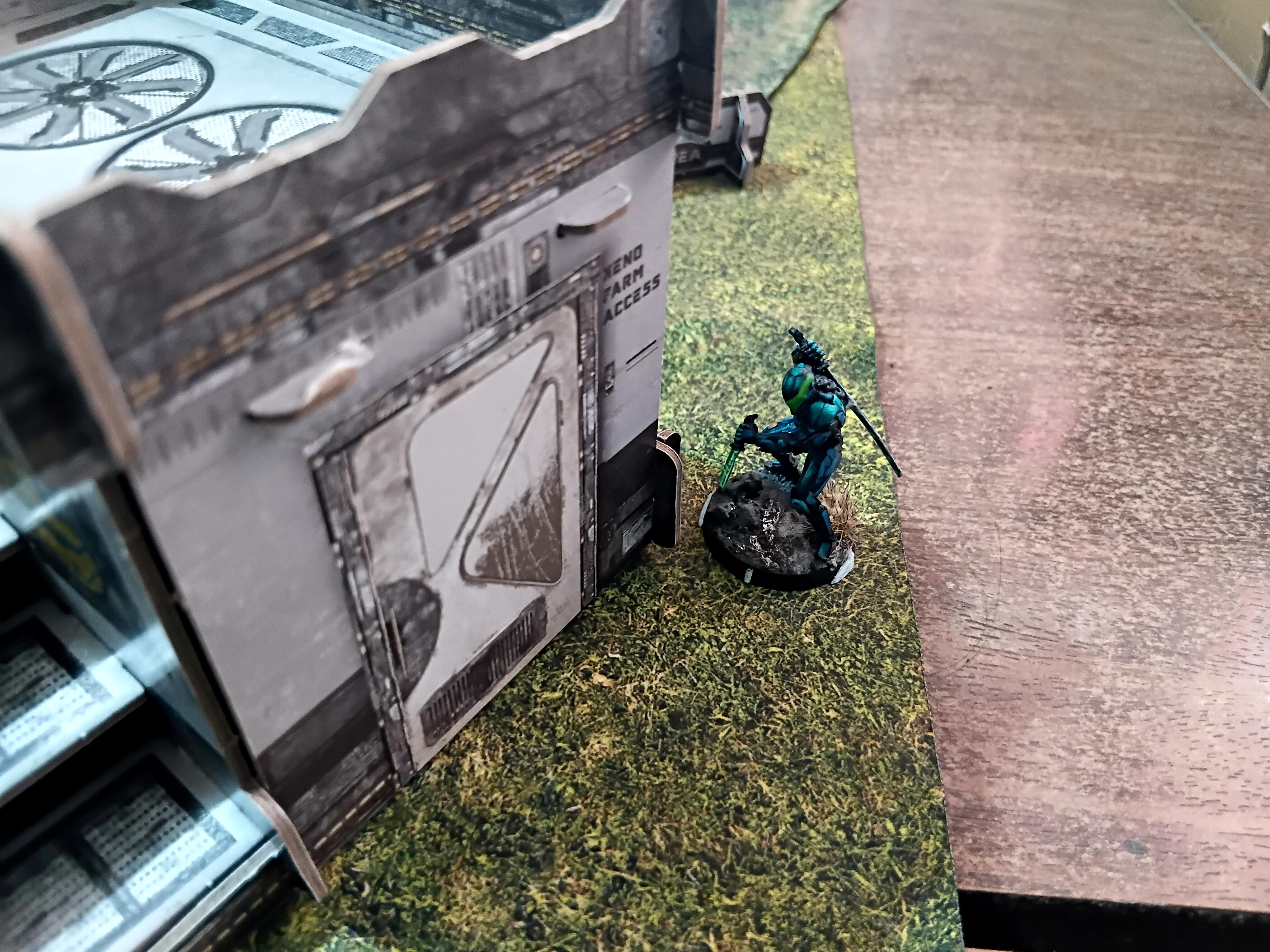 Adventure Game, Azakir Halgriv, Five Parsecs From Home, Fun, Genestealer, Mercenary, Miniatures, Minis, Ninjas, Sci Fi, Science Fiction, Sela Orrel, Ship Crew, Single Player