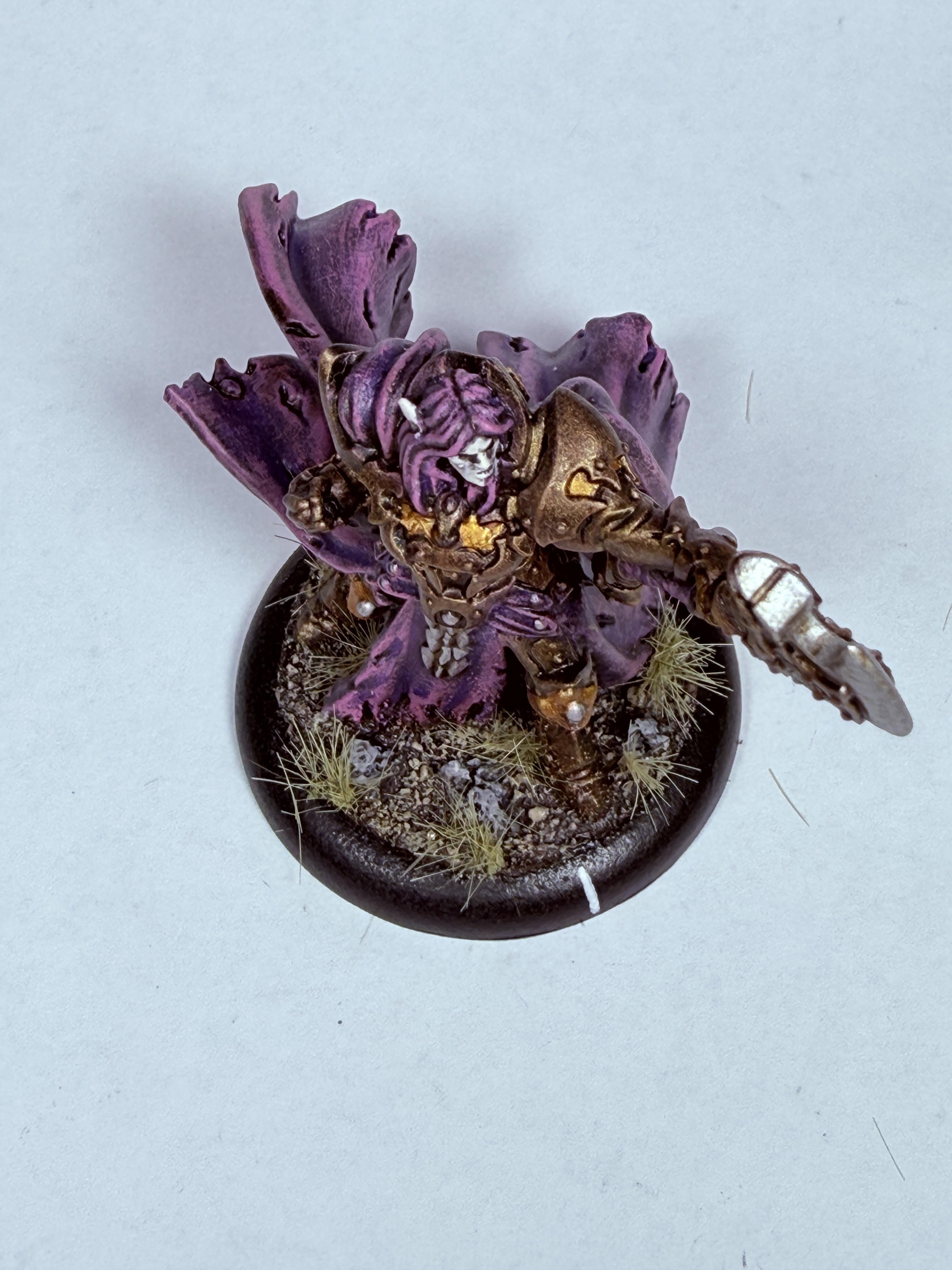 Dusk, Elves, Solo, Undead, Vampire, Warmachine