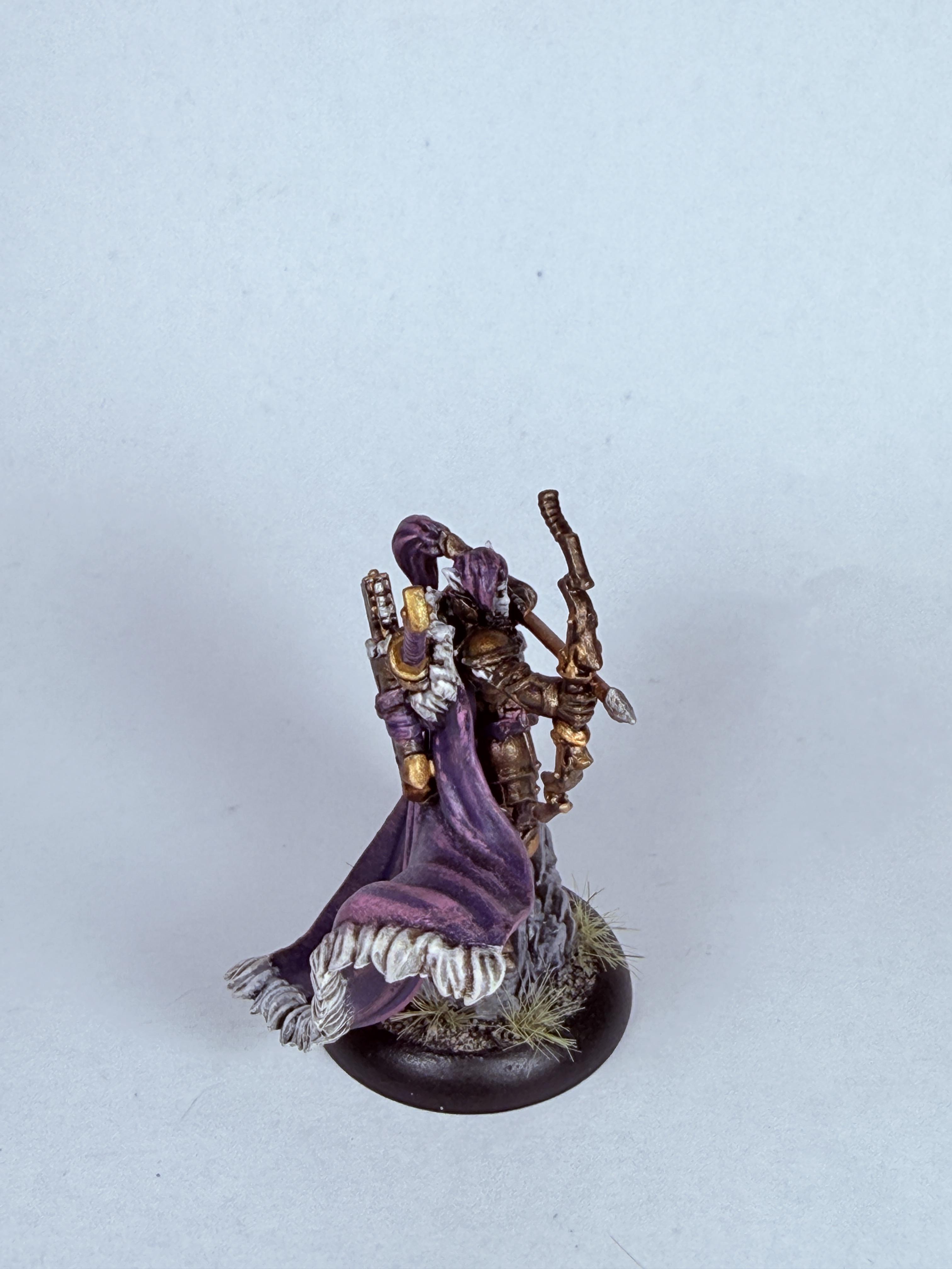 Archers, Dusk, Elves, Fane Of Nyrro, House Kalyss, Solo, Warmachine