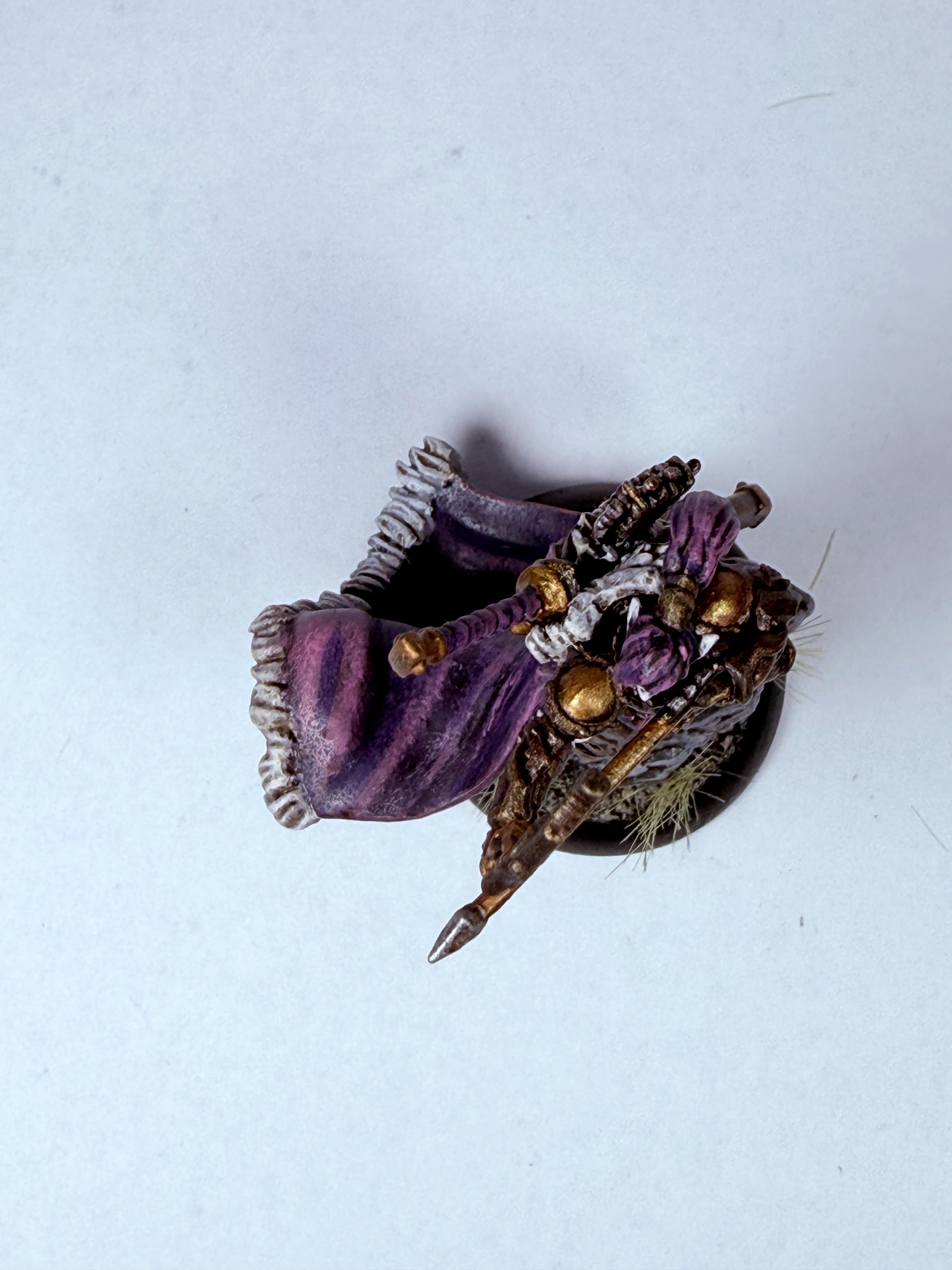 Archers, Dusk, Elves, Fane Of Nyrro, House Kalyss, Solo, Warmachine