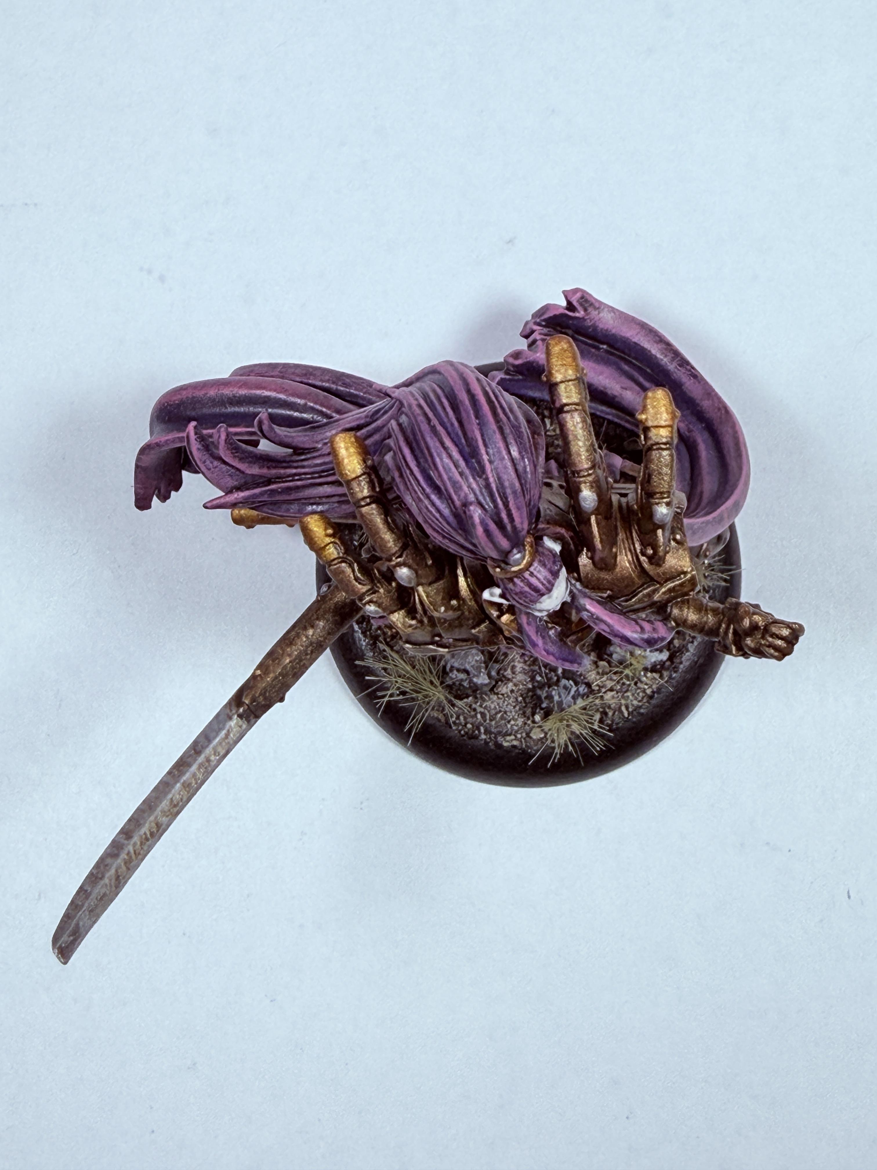 Dusk, Elves, House Kalyss, Warcaster