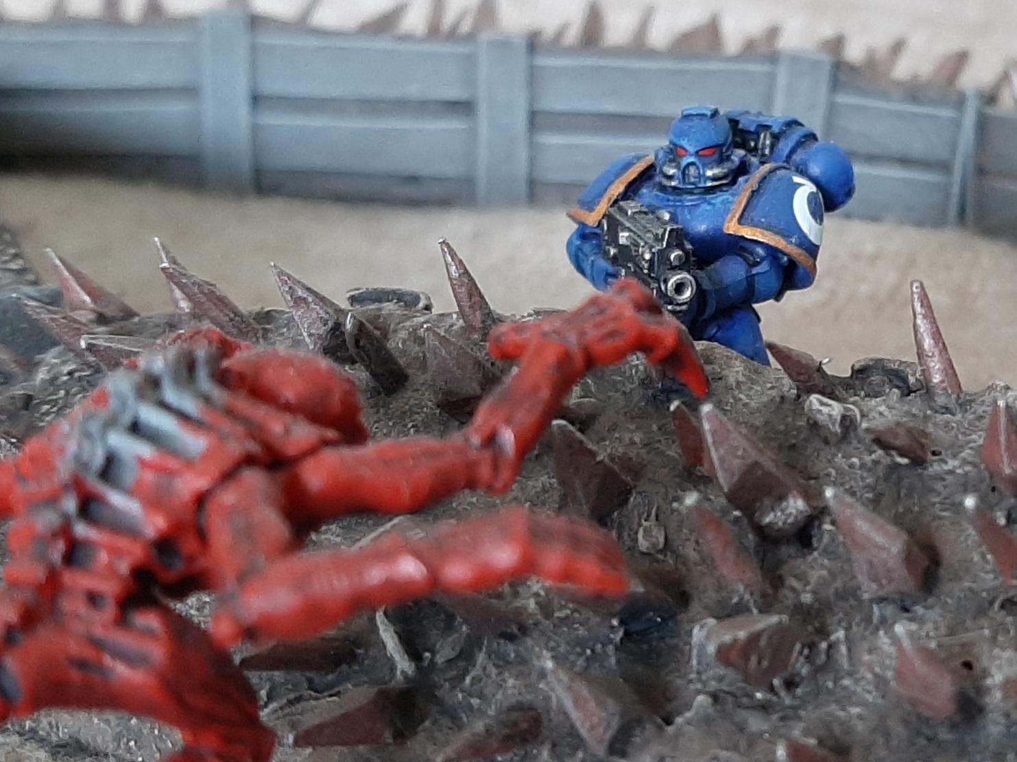 Base, Canopy, Cheap, Custom, Easy, Foliage, Forest, Homemade, Jungle, Plastic, Quick, Scratch Build, Simple, Tabletop, Terrain, Trees, Warhammer 40,000, Warhammer Fantasy, Woodland