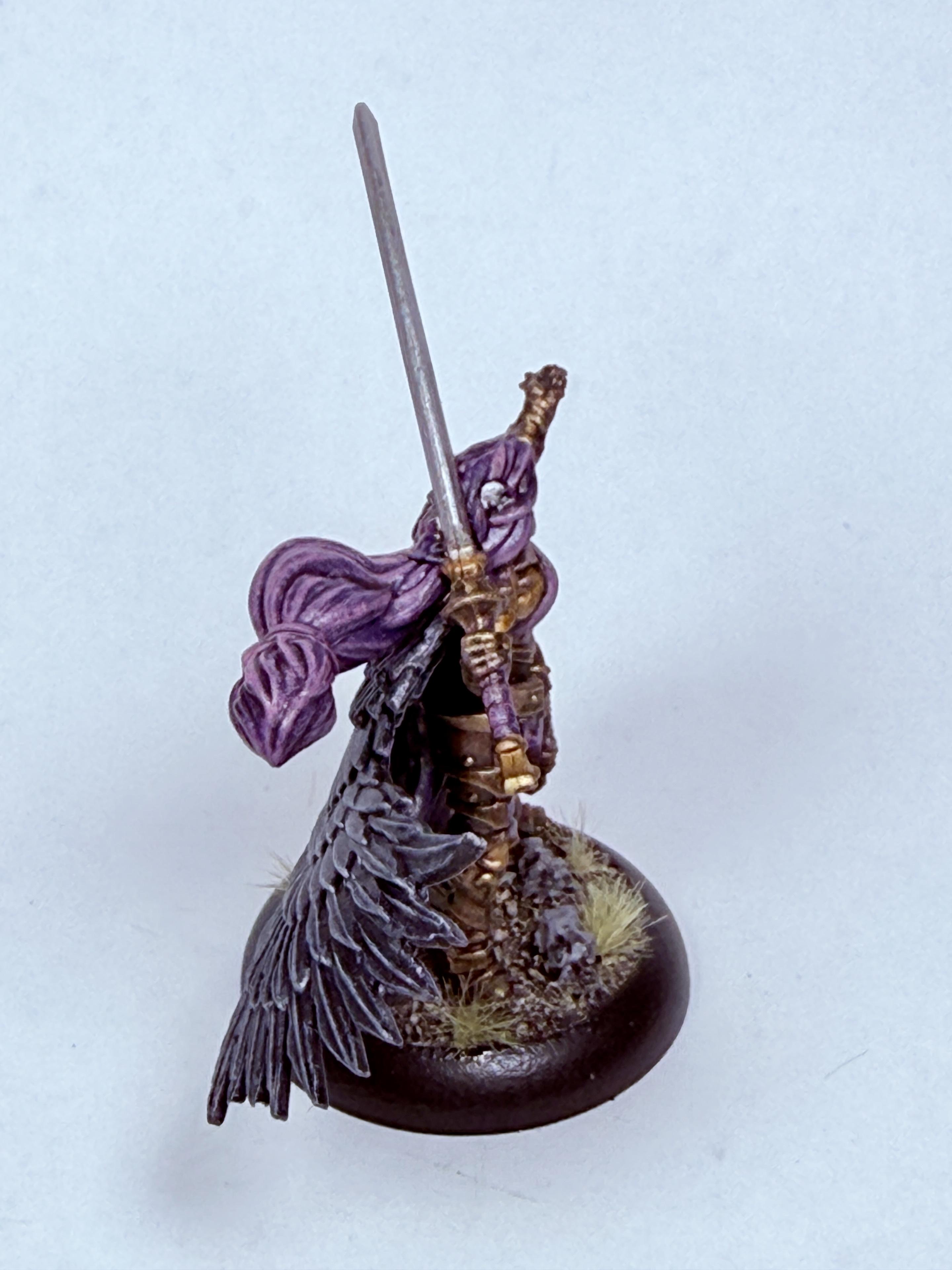 Dusk, Elves, Fane Of Nyrro, House Kallyss, Junior, Warcaster, Warlock, Warmachine
