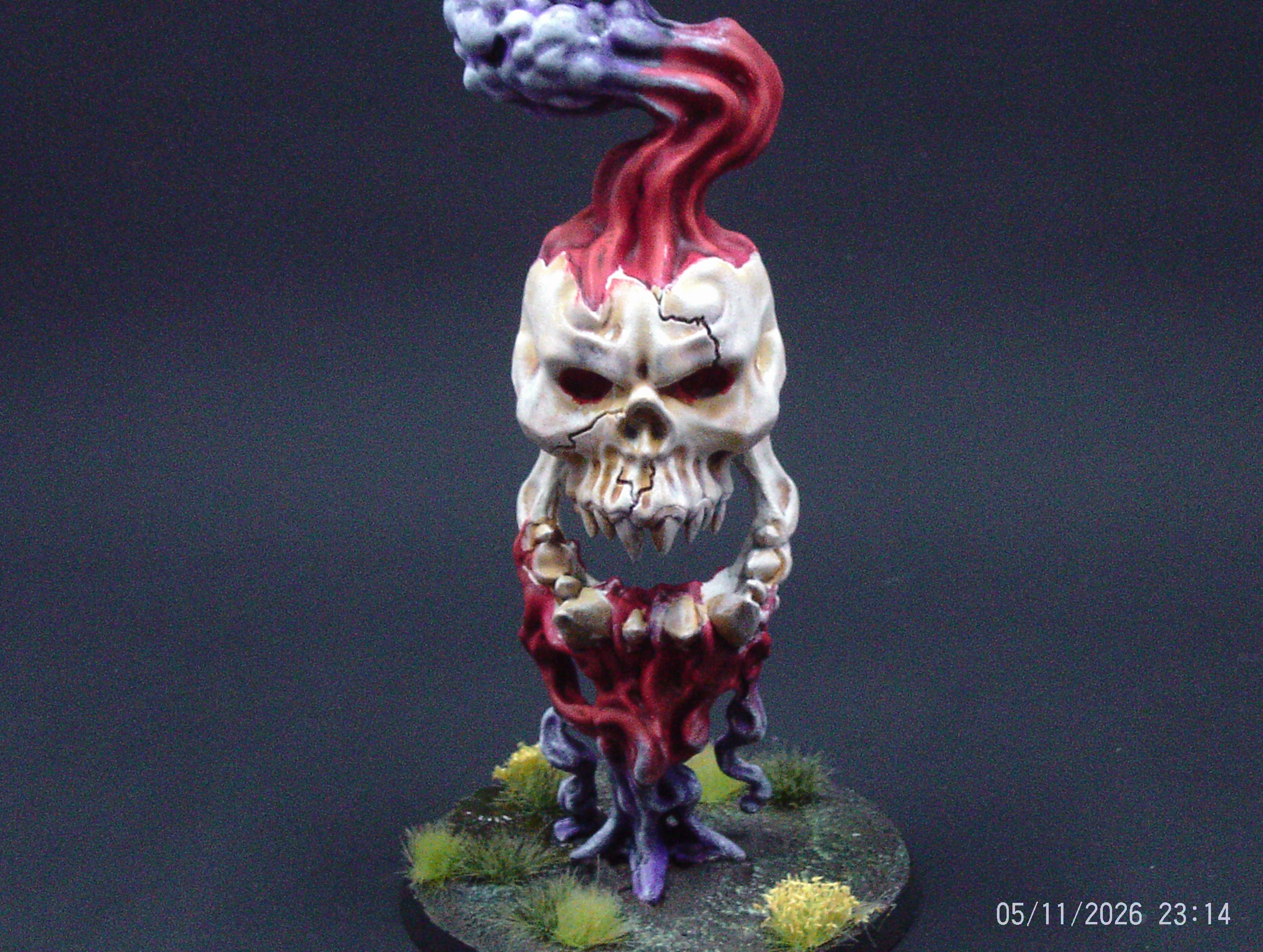 Gork Roara Front