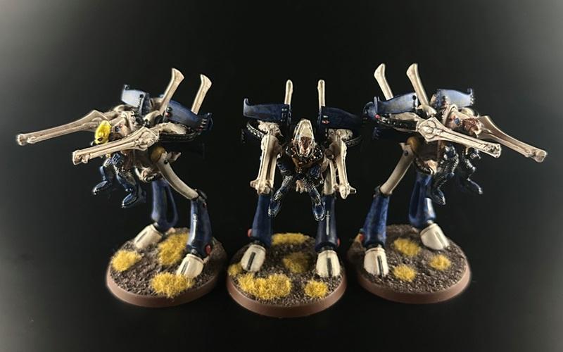 Alaitoc, Captain Brown, Eldar, Painted, Rogue Trader, War Walkers